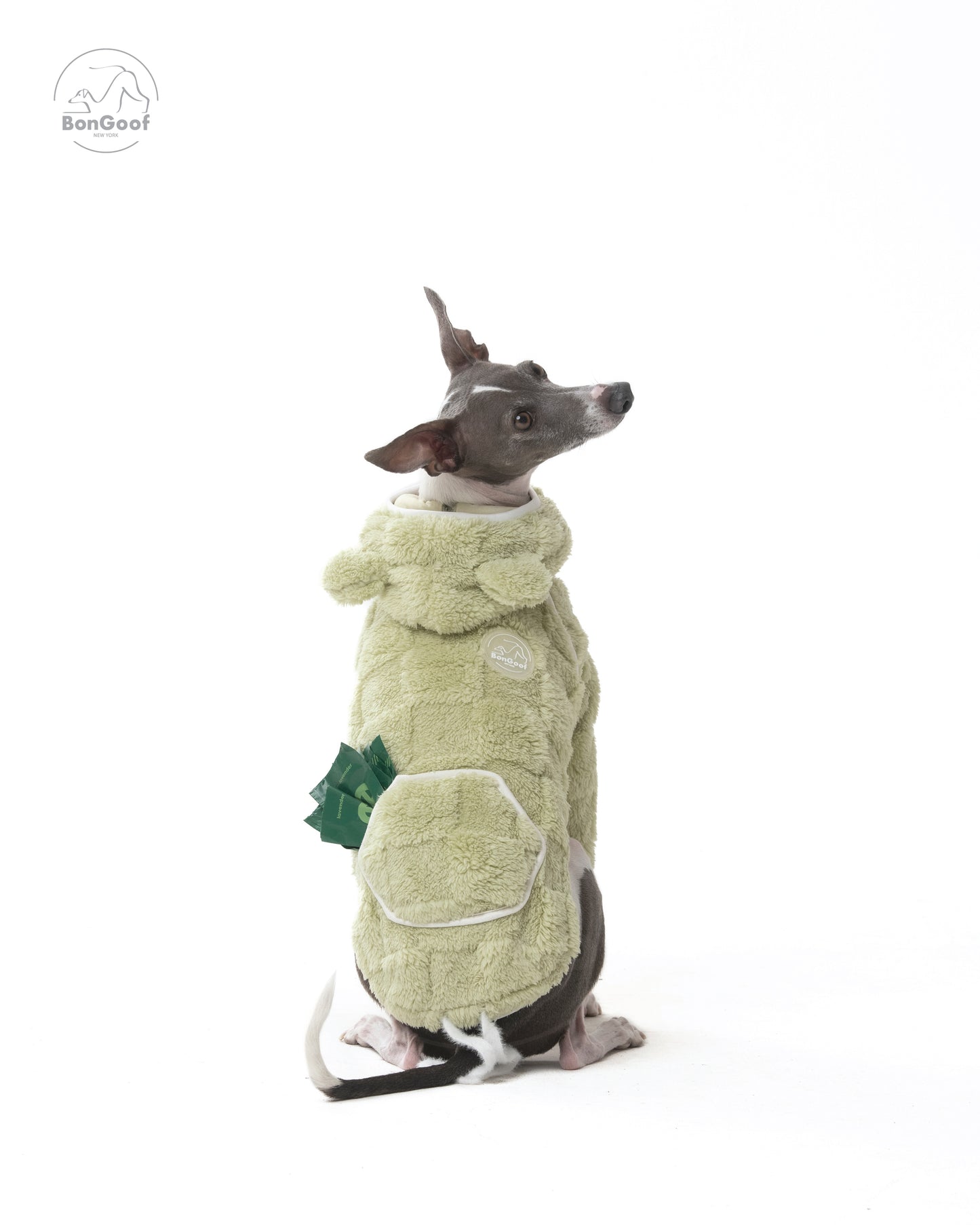 CUBBY Hoodie - Key Lime