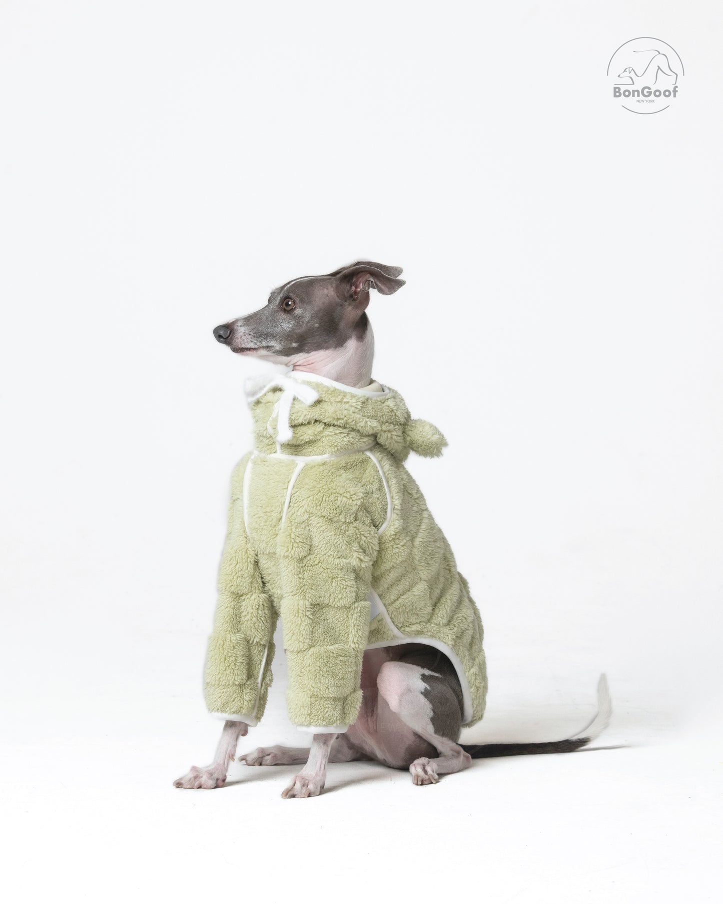 CUBBY Hoodie - Key Lime