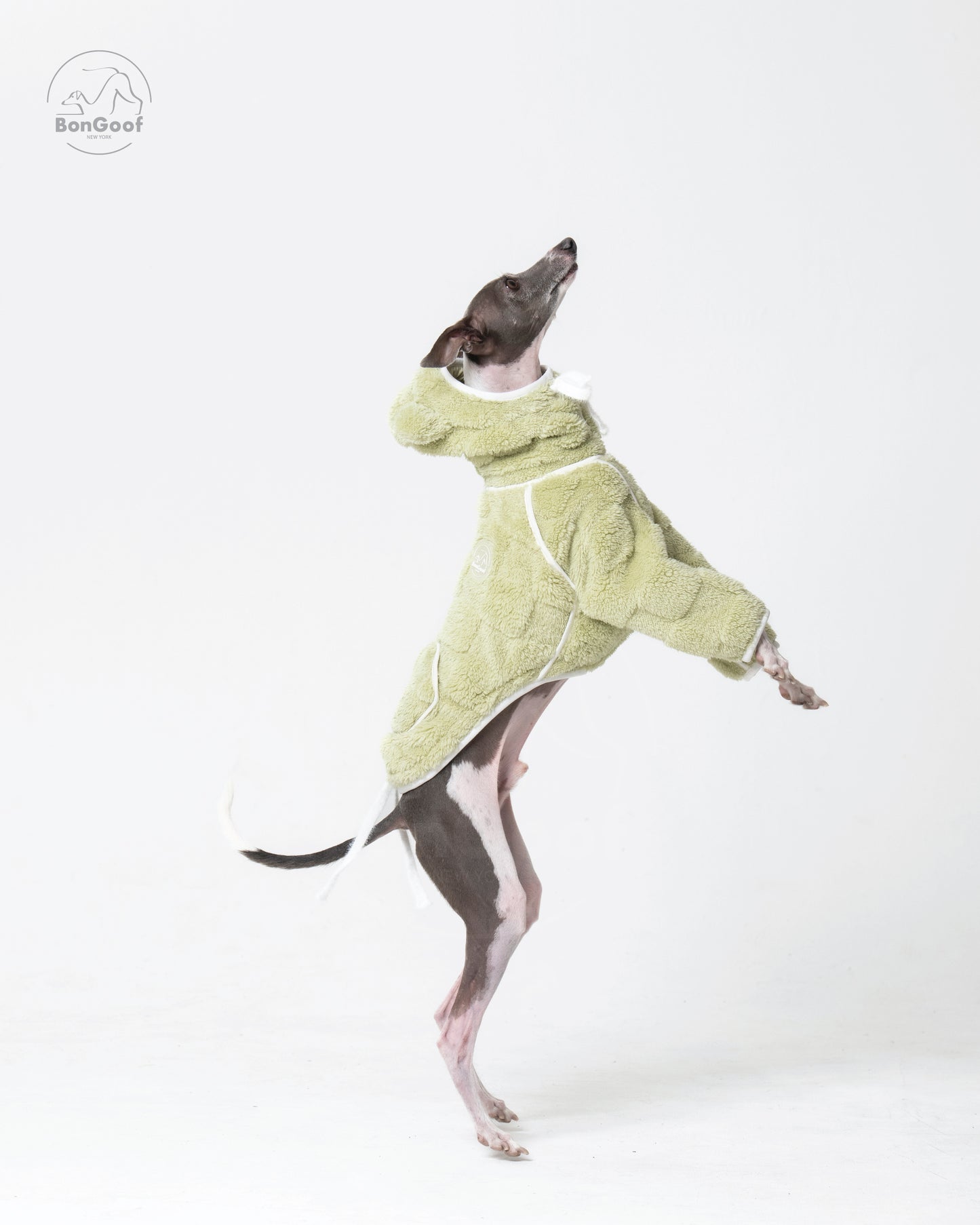 CUBBY Hoodie - Key Lime