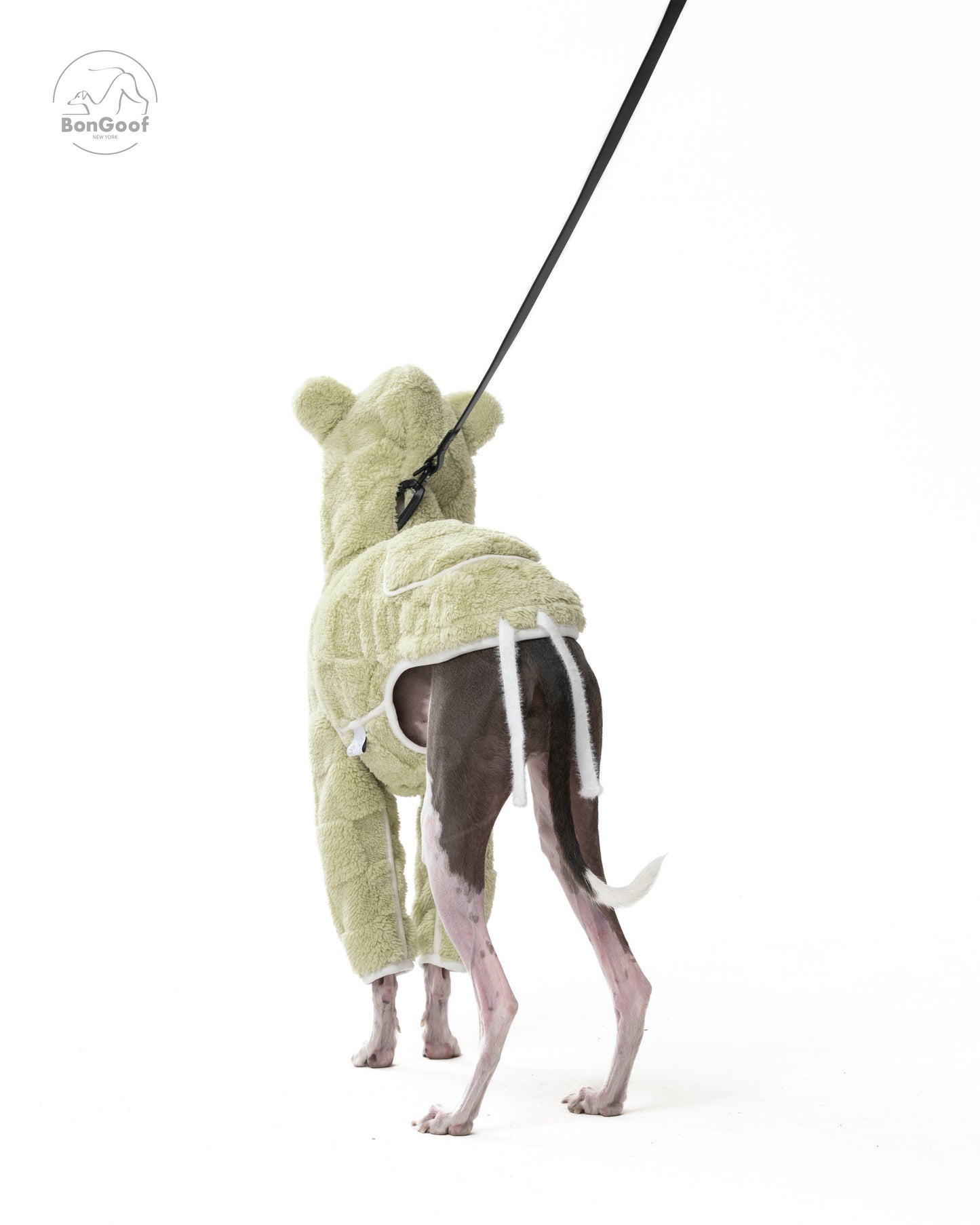 CUBBY Hoodie - Key Lime