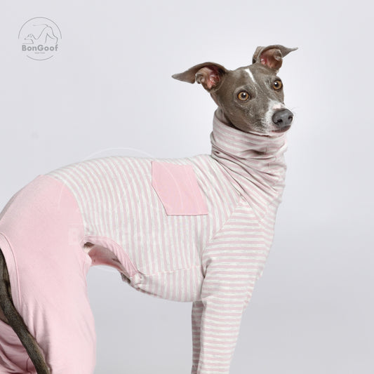 Italian Greyhound Clothing - Dress for Dog - Pink Cheetah - Barbiecore -  Pink for Dog - Dog Clothes - Italian Greyhound Sizes