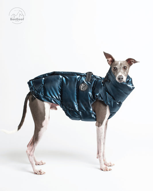 Dog wearing the BonGoof LUMI Vest in Blue Steel, showing its glossy puffer finish in a side view.