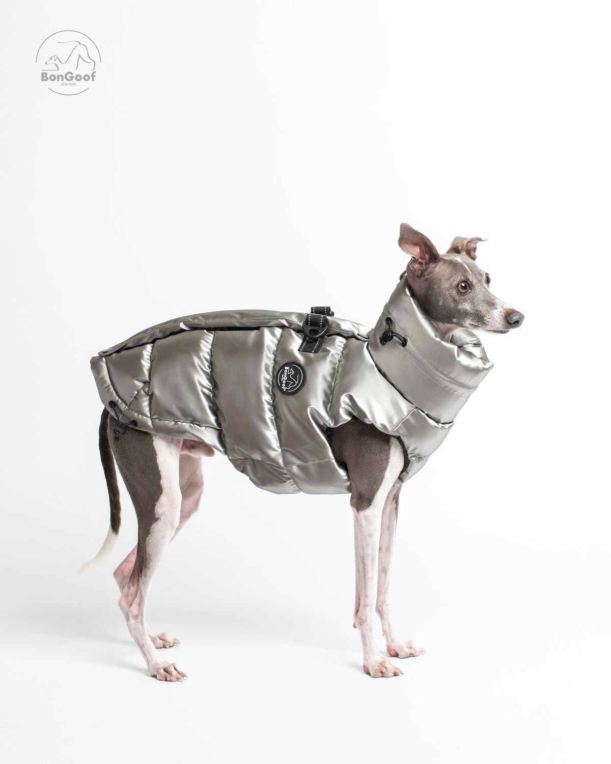 Dog wearing the BonGoof LUMI Vest in Chrome, side view showing the glossy chrome-colored padded body, high collar and logo patch.