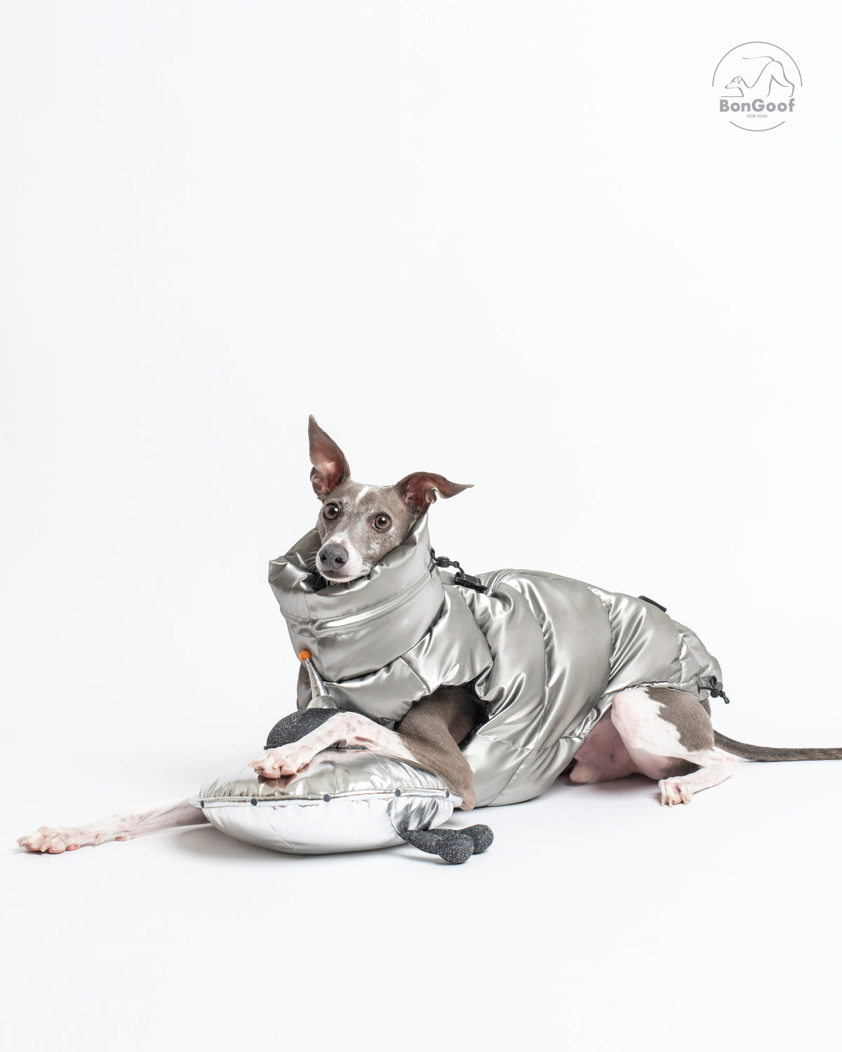 Dog lying down in the BonGoof LUMI Vest in Chrome with its front paws resting on a silver prop, showing the high collar and side fit.