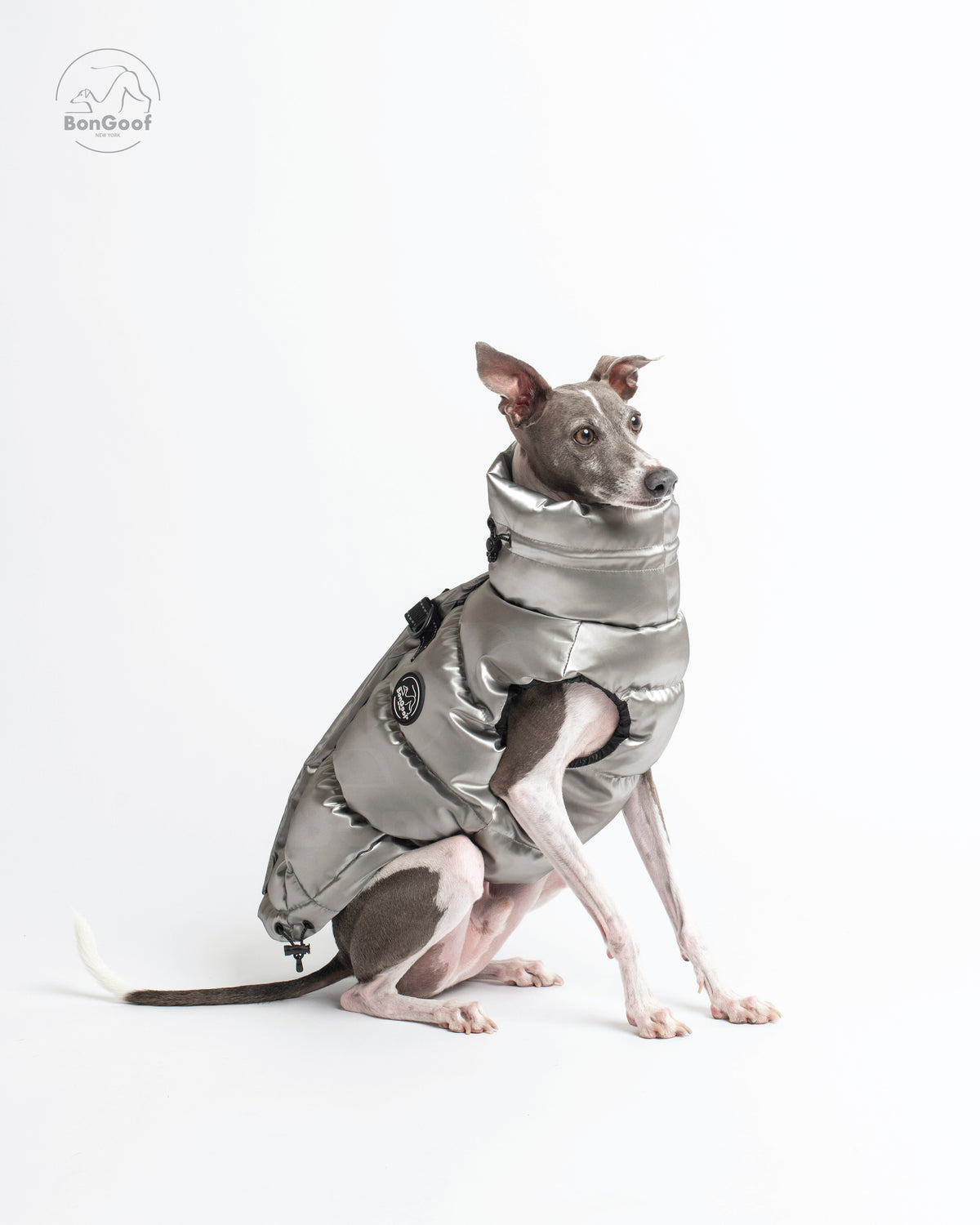 Seated dog wearing the BonGoof LUMI Vest in Chrome, facing right with the padded chest, high collar and side logo patch visible.