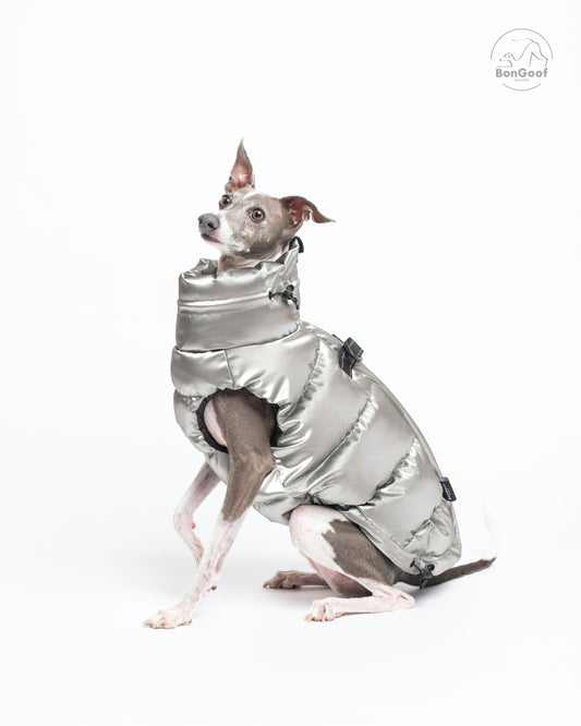 Seated dog wearing the BonGoof LUMI Vest in Chrome, three-quarter view showing the glossy silver finish and high padded collar.