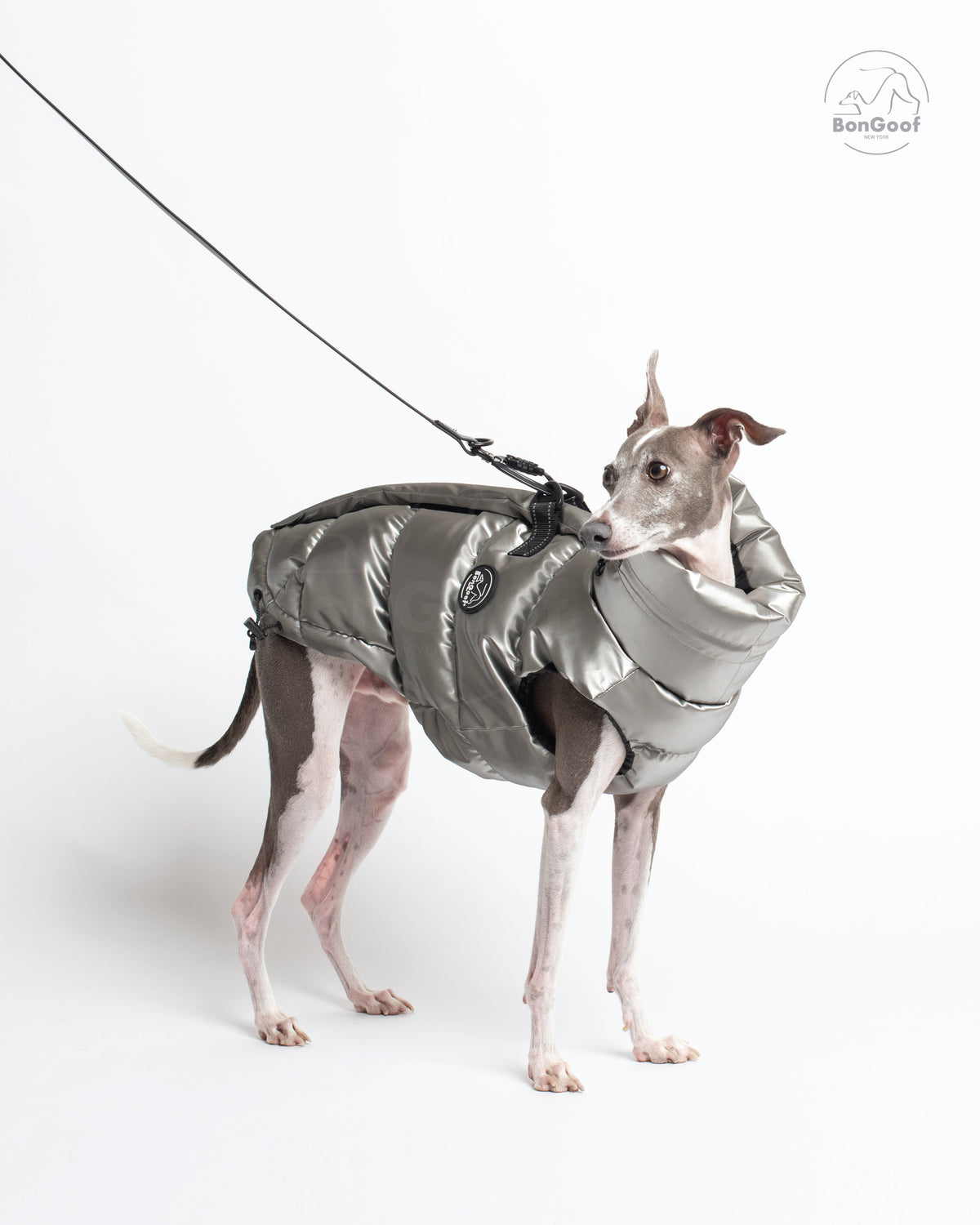 Dog wearing the BonGoof LUMI Vest in Chrome with a leash attached to the back D-rings, showing the side fit and high collar.