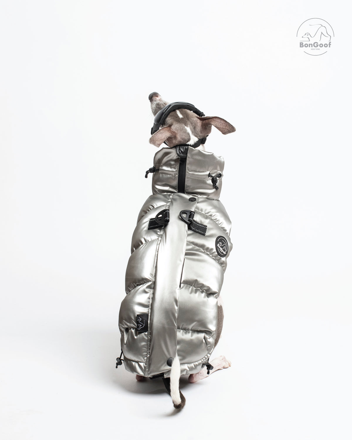 Rear view of a seated dog wearing the BonGoof LUMI Vest in Chrome, showing the back zipper, two D-rings and logo patch.
