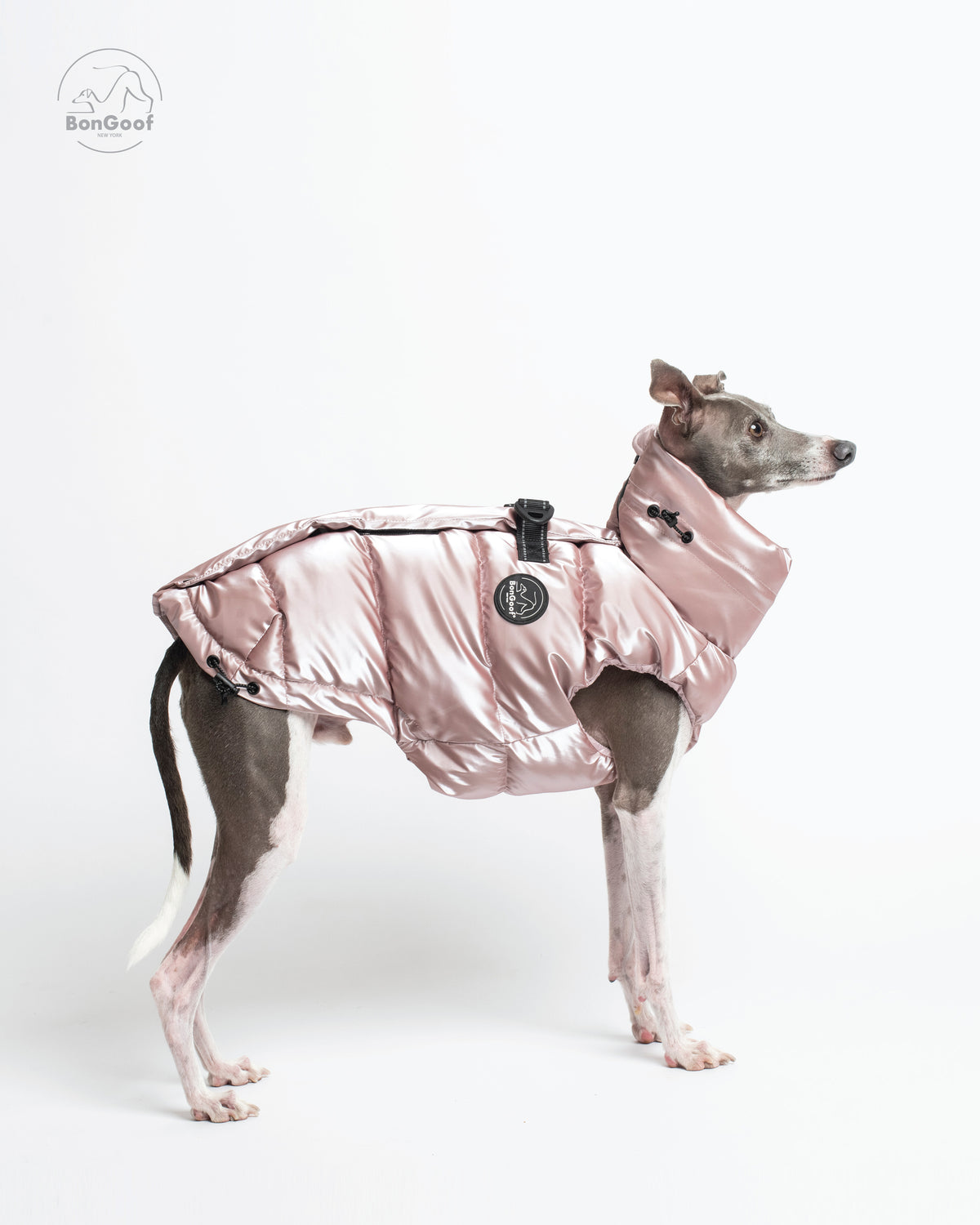 Dog wearing the BonGoof LUMI Vest in Rose Pearl, side view showing the glossy pale pink padded body, high collar and logo patch.