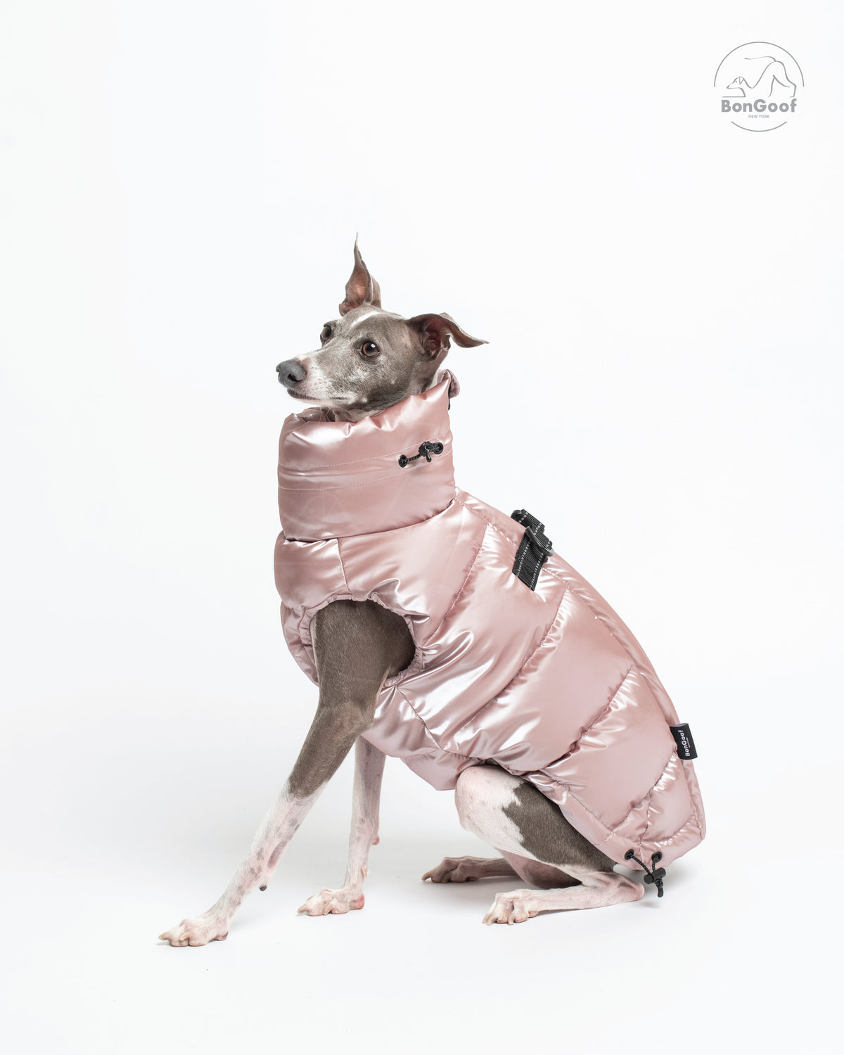 Seated dog wearing the BonGoof LUMI Vest in Rose Pearl, facing left with the high padded collar, side fit and back D-ring visible.