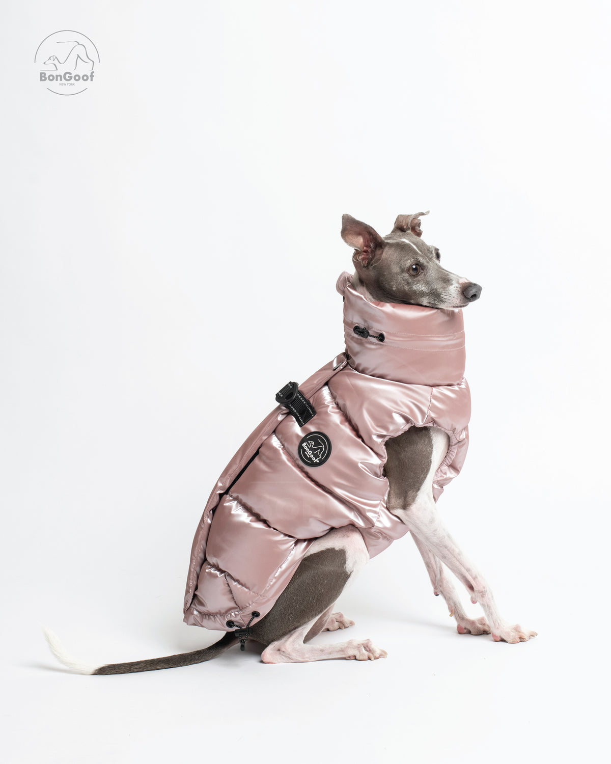Seated dog wearing the BonGoof LUMI Vest in Rose Pearl, facing right with the padded chest, high collar and side logo patch visible.