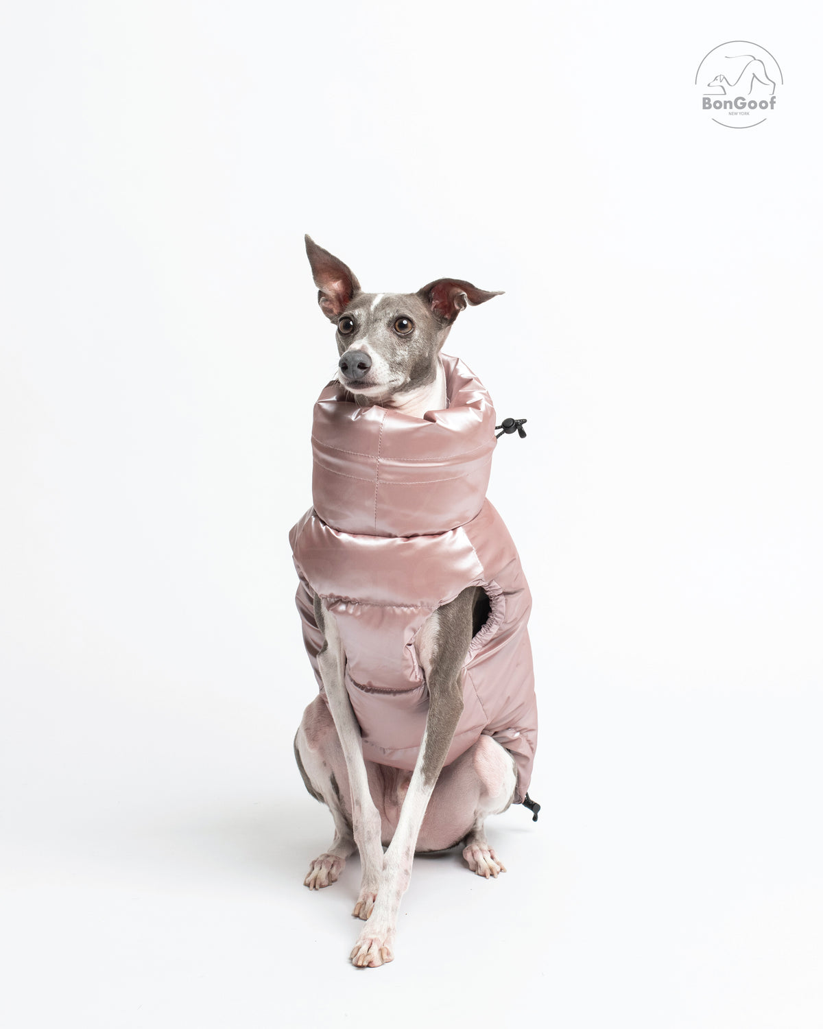 Front view of a seated dog wearing the BonGoof LUMI Vest in Rose Pearl, showing the pale pink padded chest and high collar.