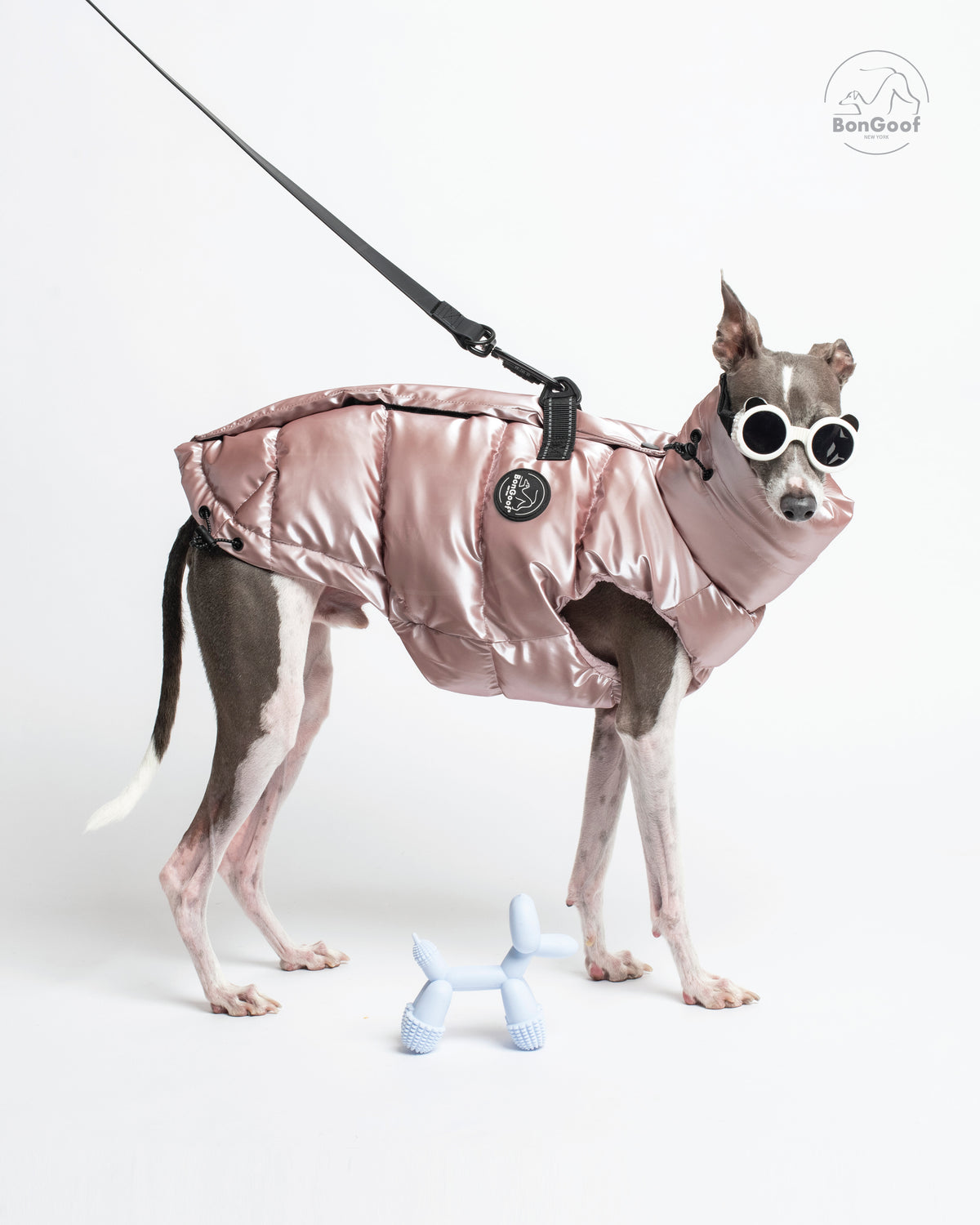 Dog wearing sunglasses and the BonGoof LUMI Vest in Rose Pearl, with a leash attached to the back D-rings.