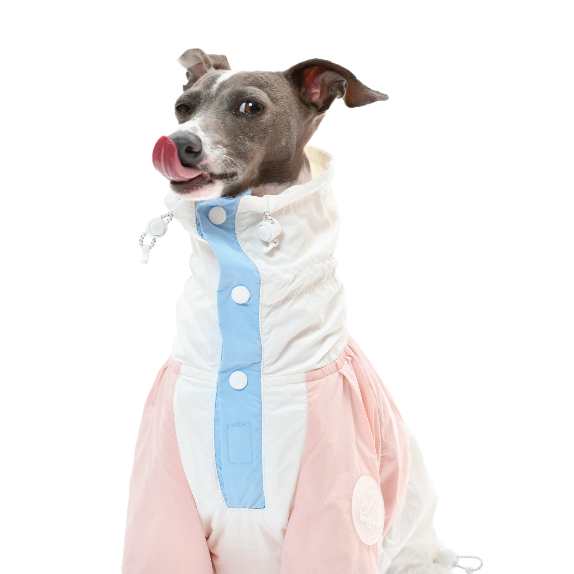 BonGoof I High End Italian Greyhound Clothing Accessories