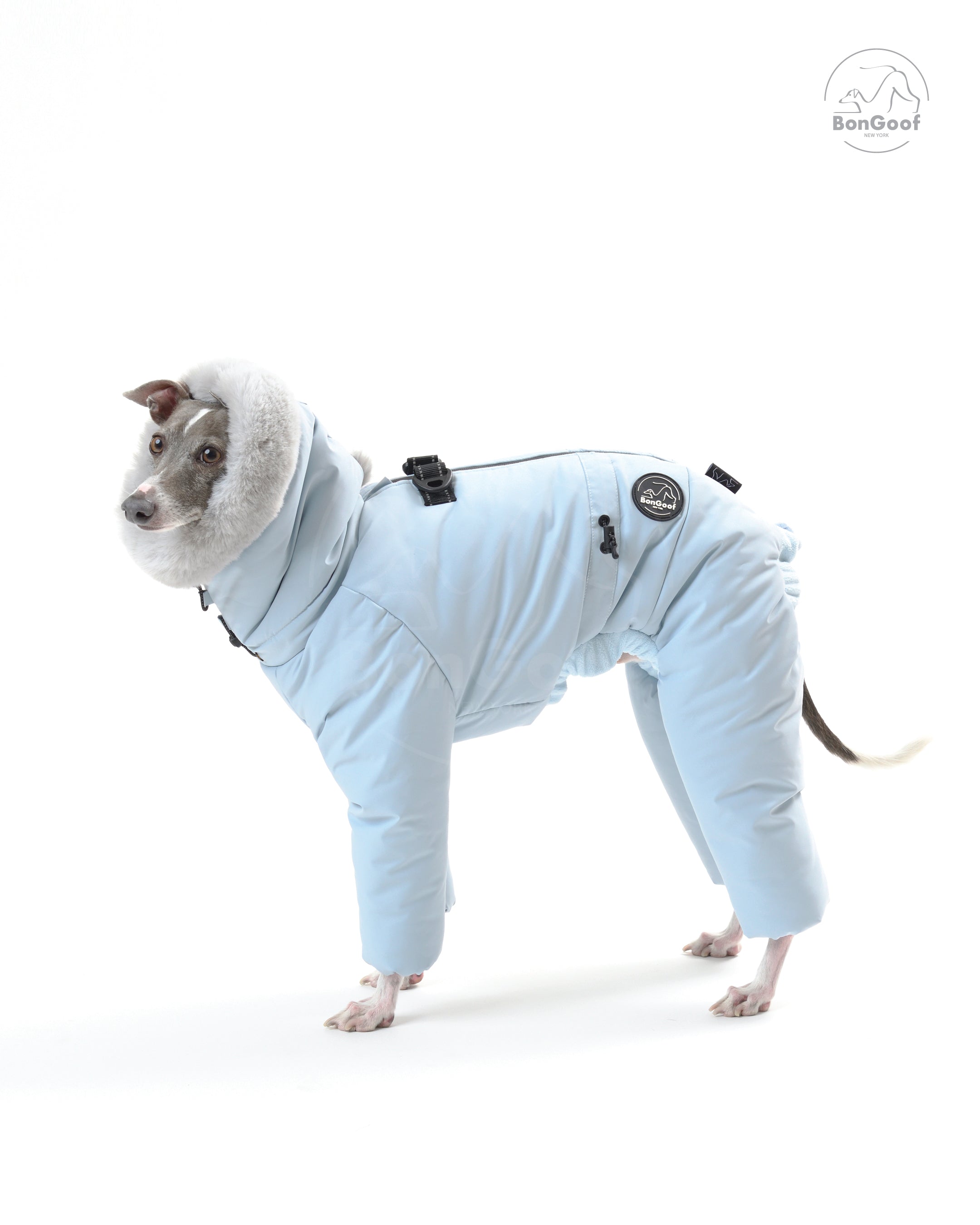SUIT-PREMO Dog Snowsuit – Blue Angel | BonGoof
