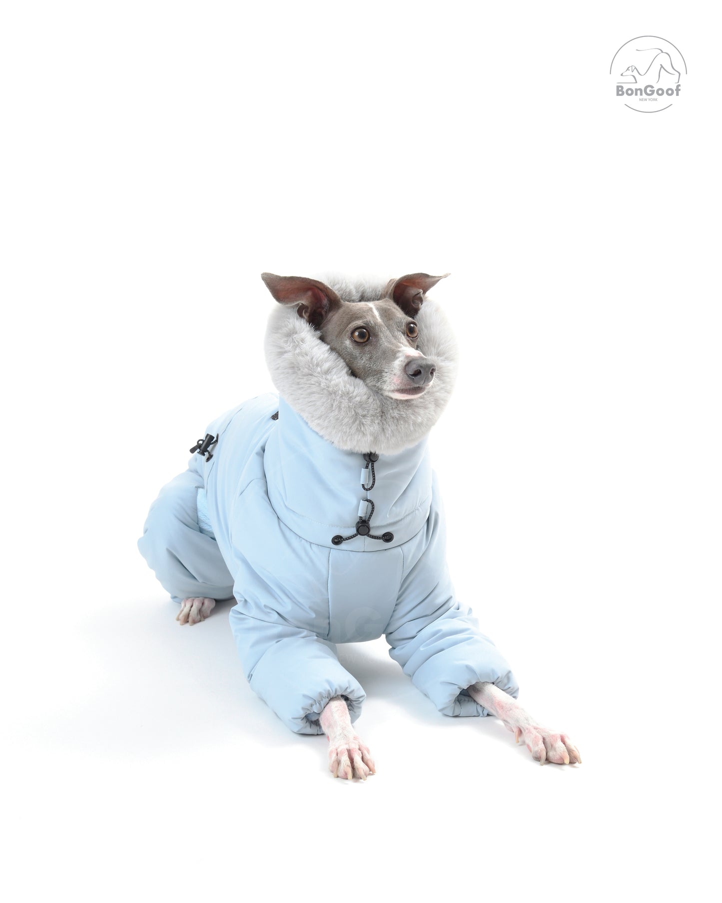 SUIT-PREMO - Blue Angel