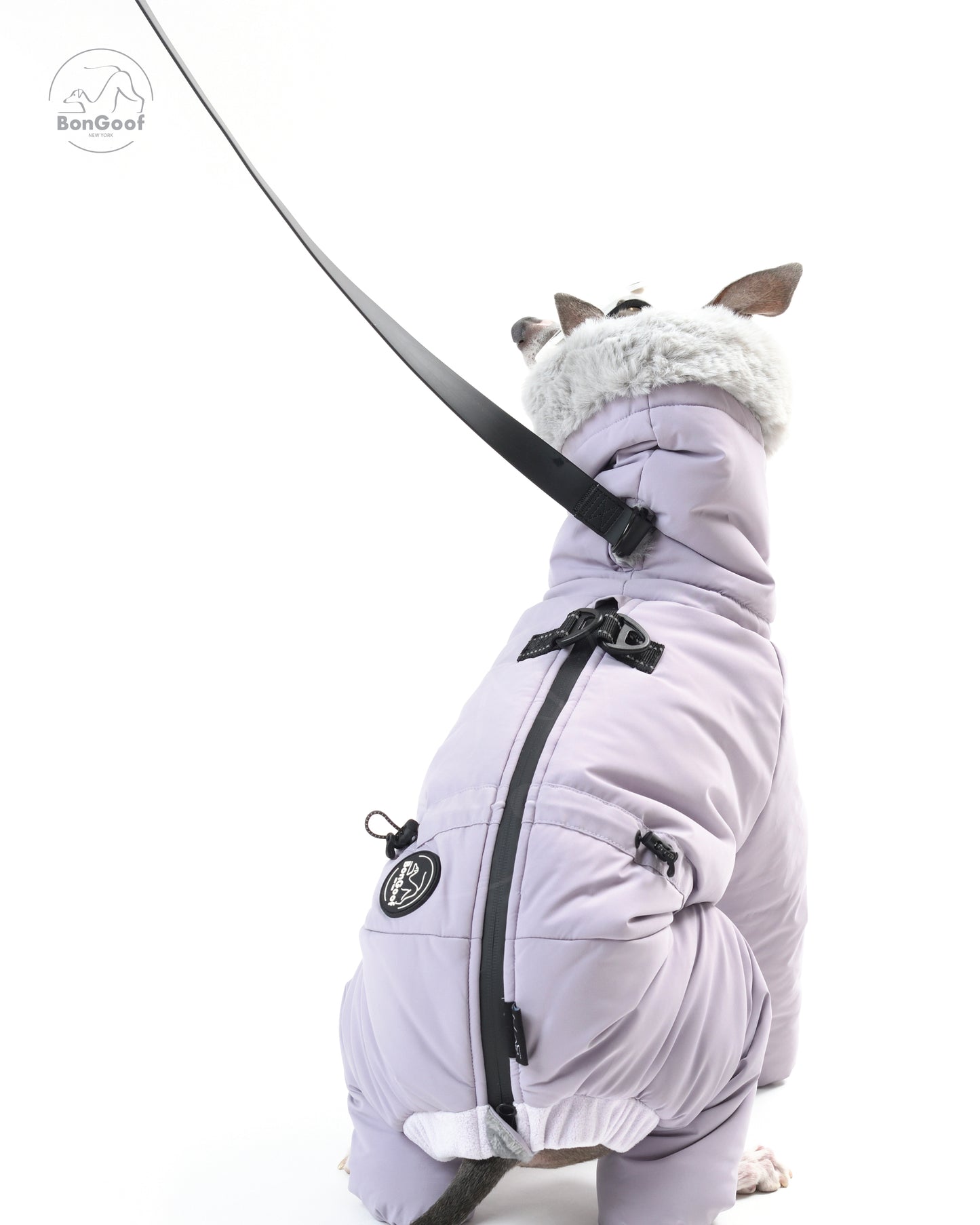 SUIT-PREMO - Lavender