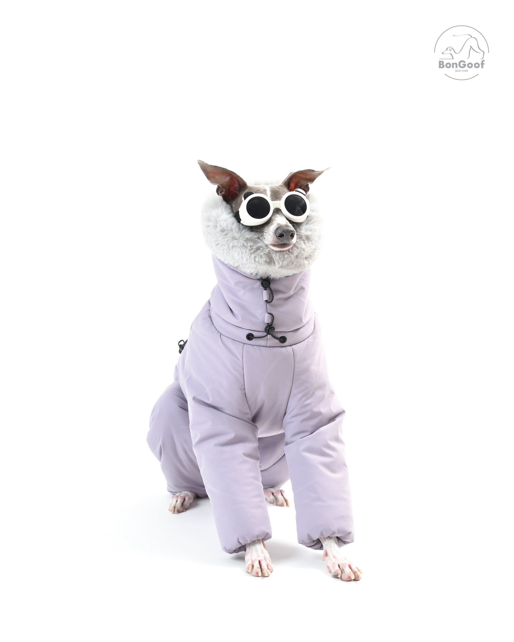 SUIT-PREMO - Lavender – BonGoof
