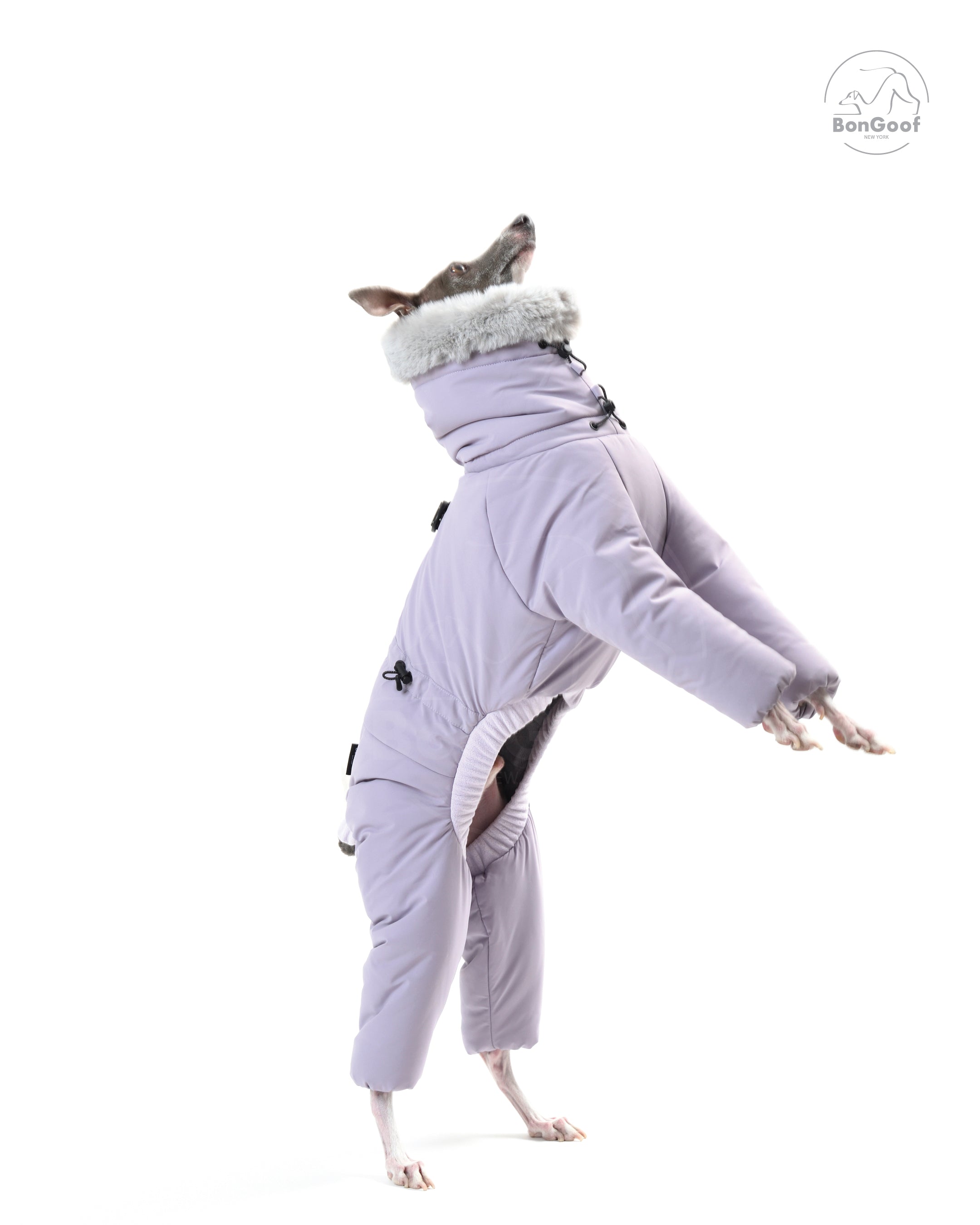 SUIT-PREMO - Lavender – BonGoof