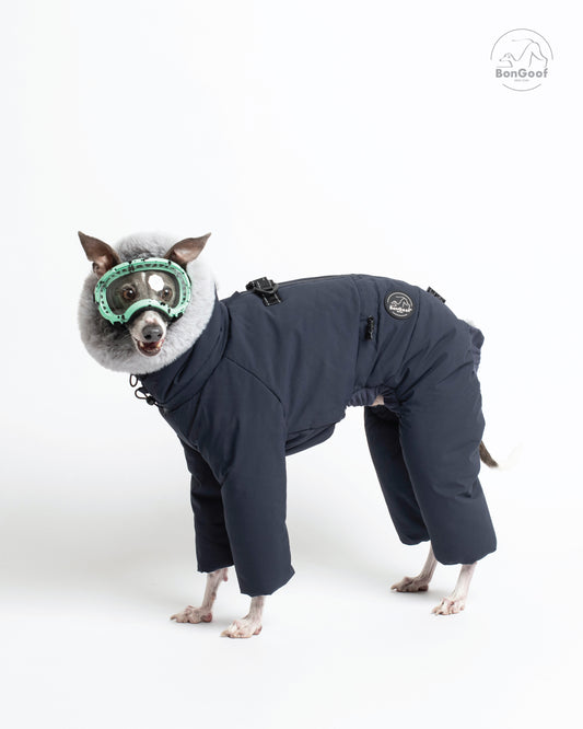 Dog wearing green goggles and the BonGoof SUIT-PREMO snowsuit in Midnight, standing with the dark navy body, covered legs, fur-trimmed hood and logo patch visible.
