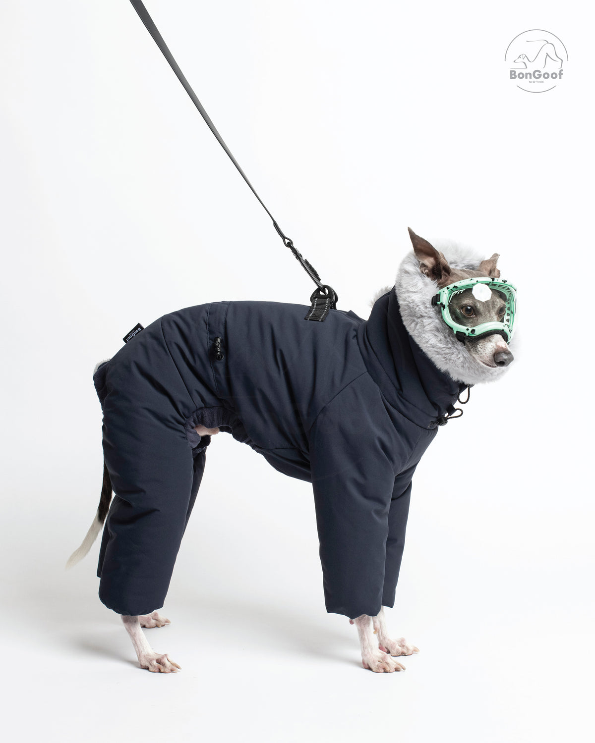 Dog wearing green goggles and the BonGoof SUIT-PREMO snowsuit in Midnight, facing right with a leash attached to the back D-ring and the fur-trimmed hood visible.
