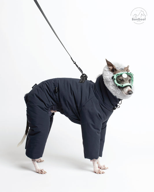 Dog wearing green goggles and the BonGoof SUIT-PREMO snowsuit in Midnight, facing right with a leash attached to the back D-ring and the fur-trimmed hood visible.
