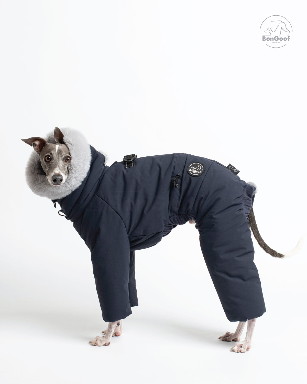 Dog wearing the BonGoof SUIT-PREMO snowsuit in Midnight, facing left and looking toward the camera with the fur-trimmed hood, covered legs and side logo patch visible.
