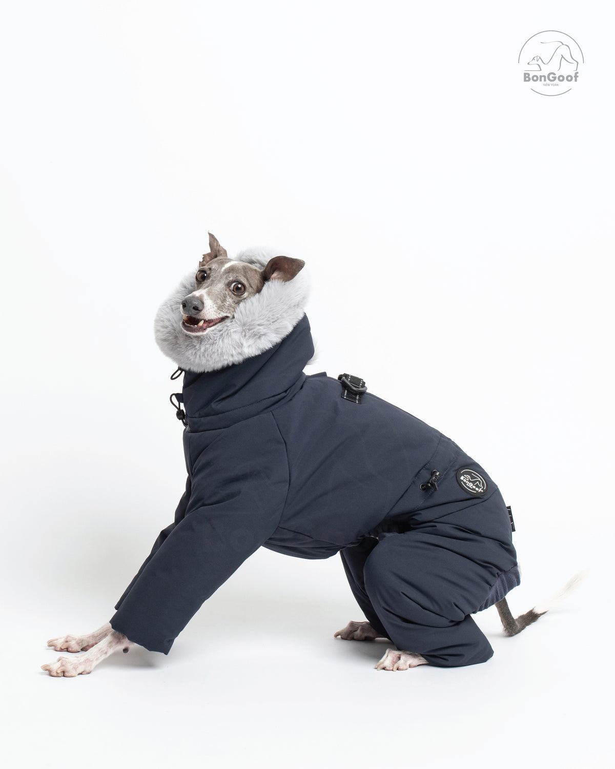 Seated dog wearing the BonGoof SUIT-PREMO snowsuit in Midnight, facing left and looking toward the camera with the fur-trimmed hood, covered legs and side logo patch visible.
