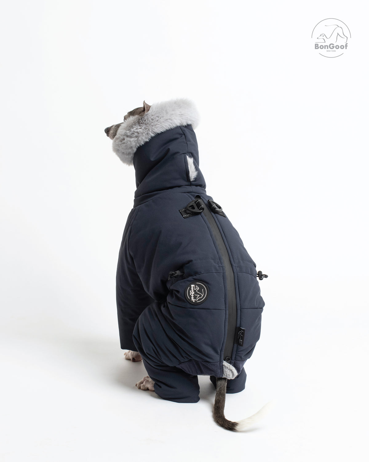 Rear view of a seated dog wearing the BonGoof SUIT-PREMO snowsuit in Midnight, showing the back zipper, two D-rings, fur-trimmed hood and logo patch.
