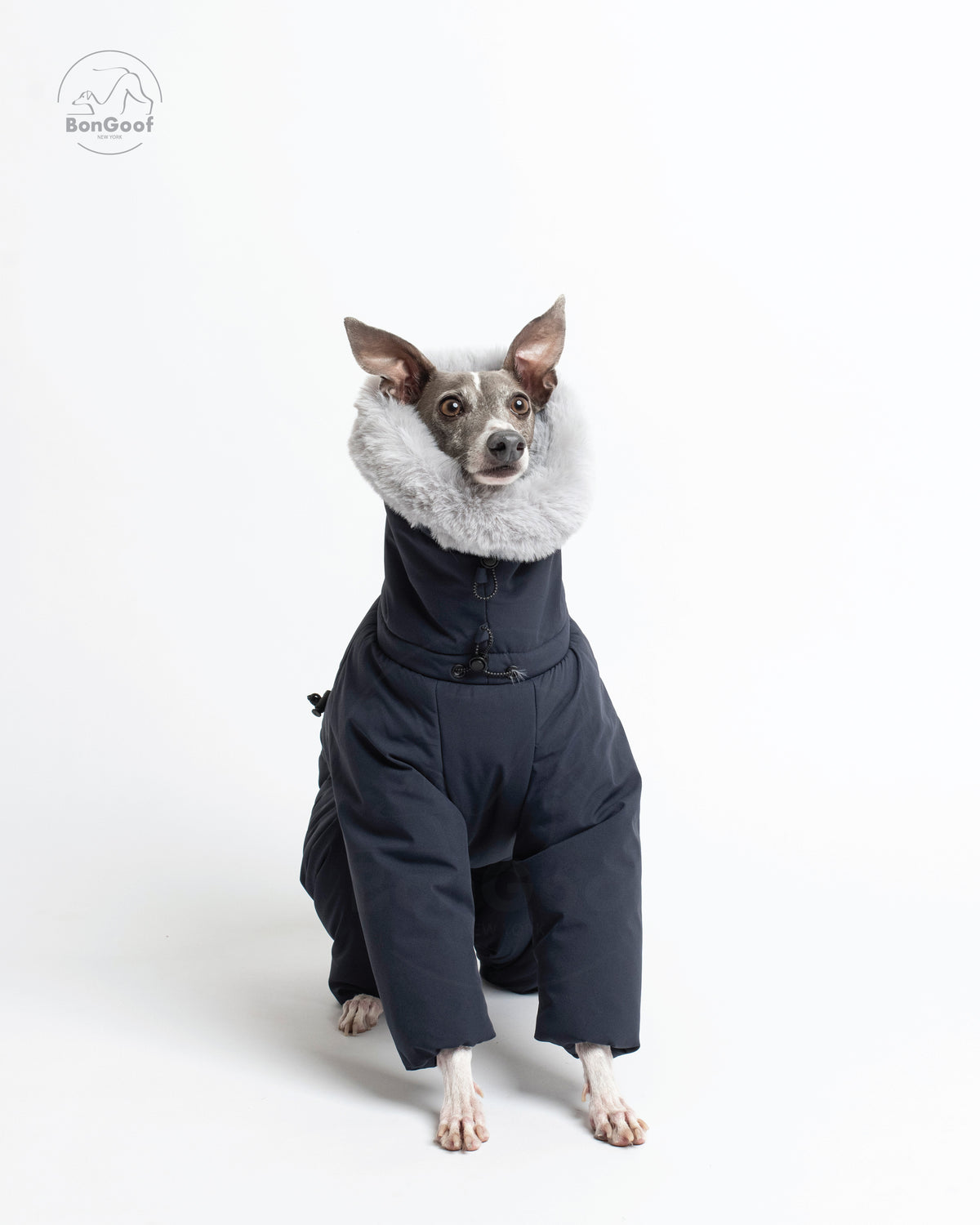 Front view of a seated dog wearing the BonGoof SUIT-PREMO snowsuit in Midnight, showing the fur-trimmed hood, high collar, padded chest and covered front legs.
