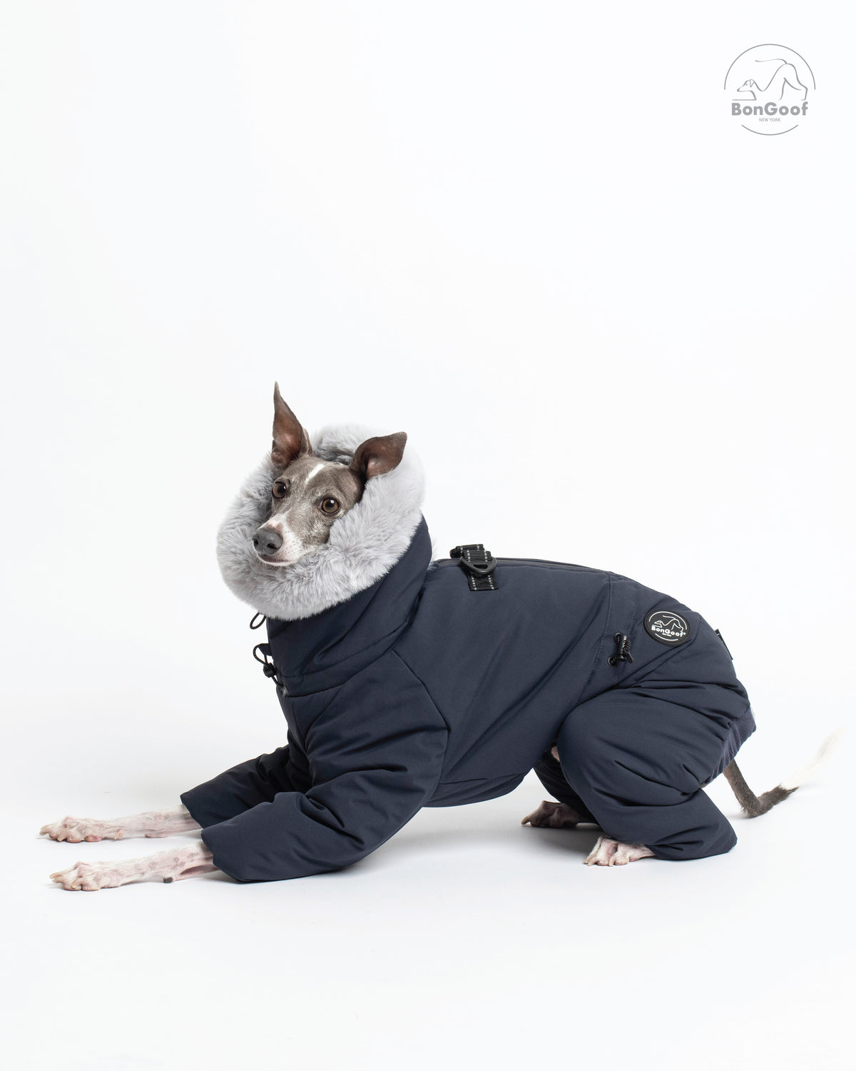Dog wearing the BonGoof SUIT-PREMO snowsuit in Midnight, crouching with its front legs extended and the fur-trimmed hood, back D-ring and side logo patch visible.
