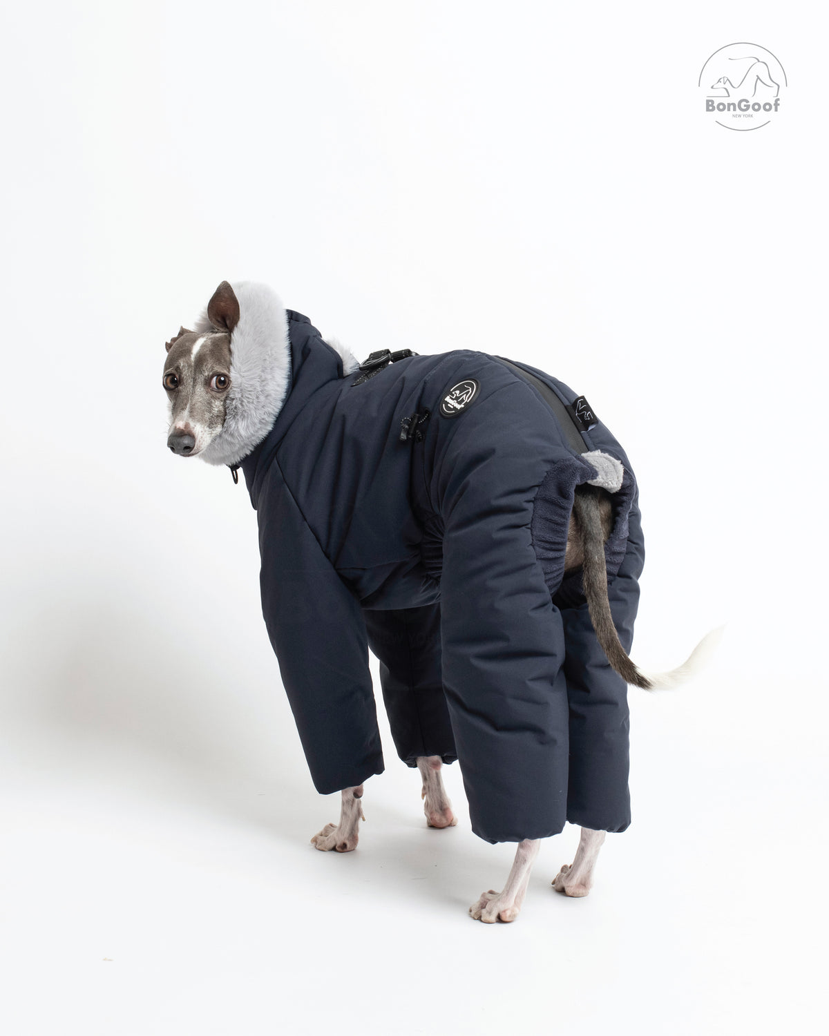 Rear three-quarter view of a standing dog wearing the BonGoof SUIT-PREMO snowsuit in Midnight, showing the covered hind legs, tail opening, fur-trimmed hood and logo patch.
