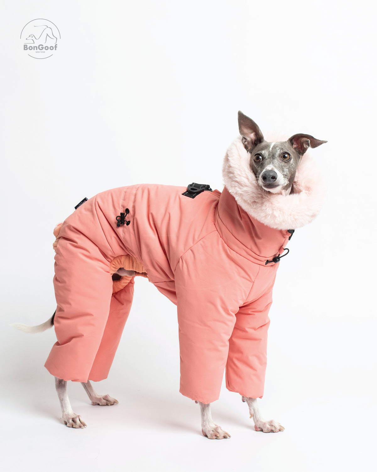 Dog wearing the BonGoof SUIT-PREMO snowsuit in Peach, facing right and looking toward the camera with the fur-trimmed hood, covered legs and back D-ring visible.
