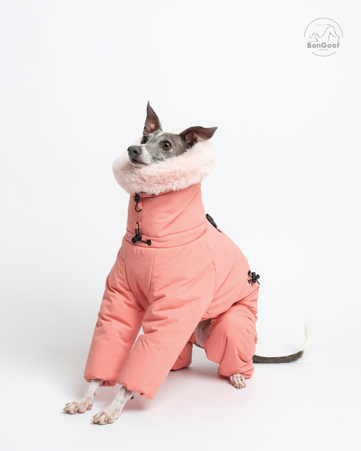 Seated dog wearing the BonGoof SUIT-PREMO snowsuit in Peach, looking up to the left with the fur-trimmed hood, high collar and covered front legs visible.

