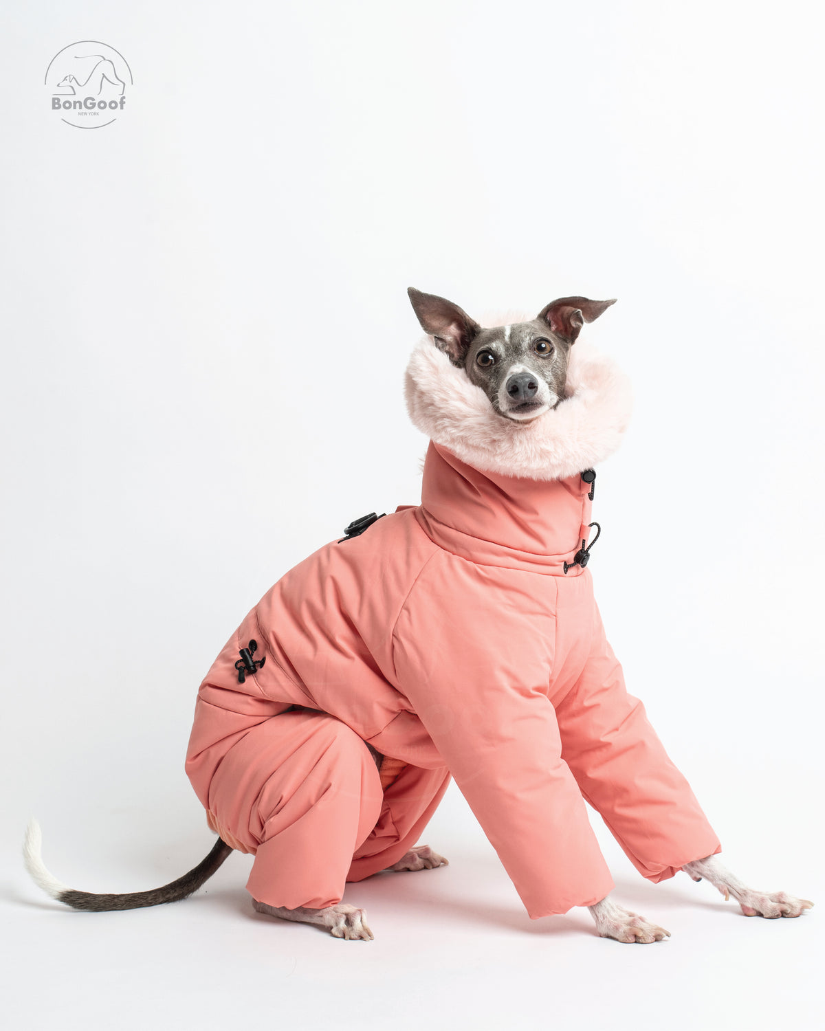 Seated dog wearing the BonGoof SUIT-PREMO snowsuit in Peach, facing right and looking toward the camera with the fur-trimmed hood, covered legs and side drawcord visible.
