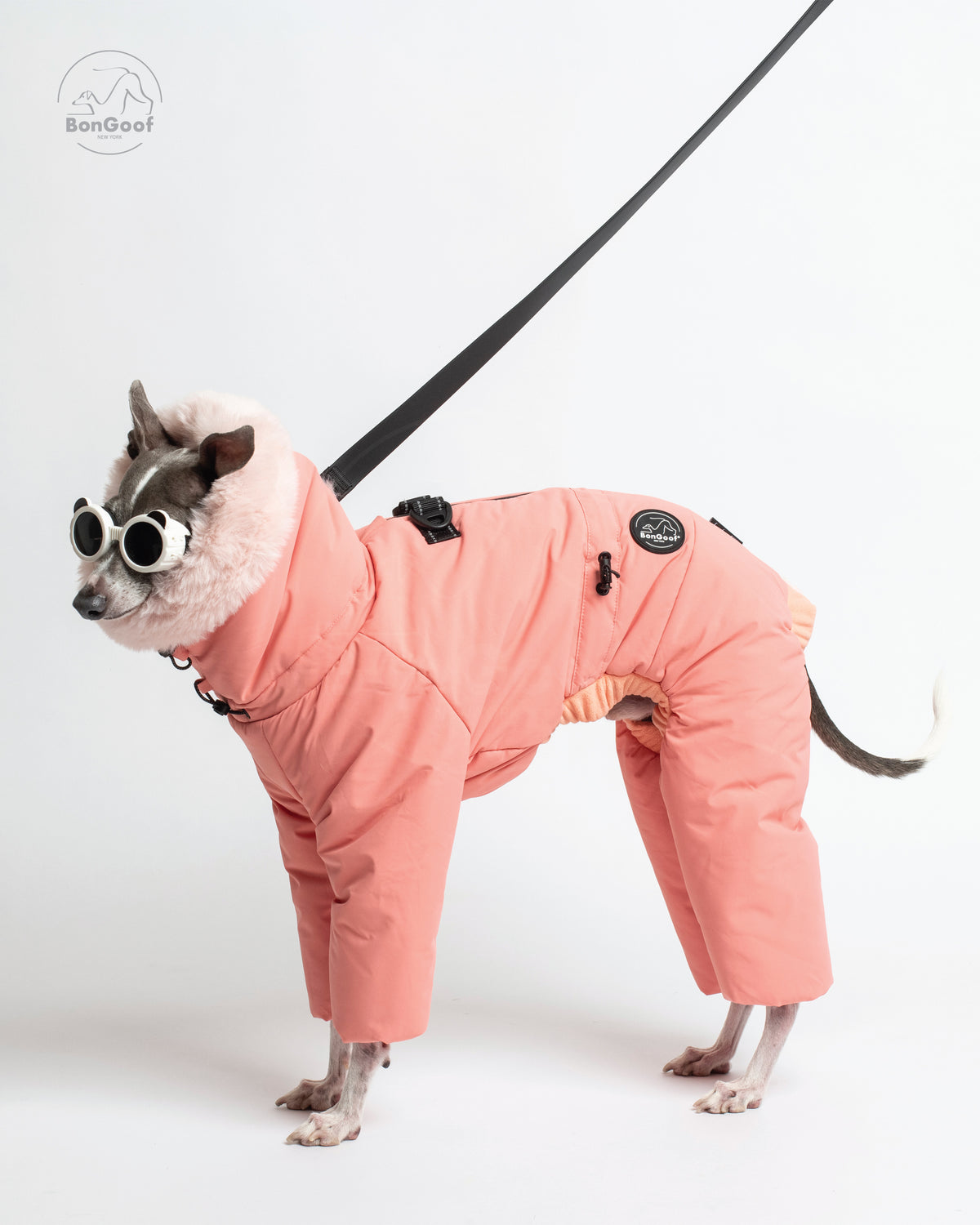 Dog wearing white sunglasses and the BonGoof SUIT-PREMO snowsuit in Peach, standing with a leash attached near the upper back and the fur-trimmed hood visible.
