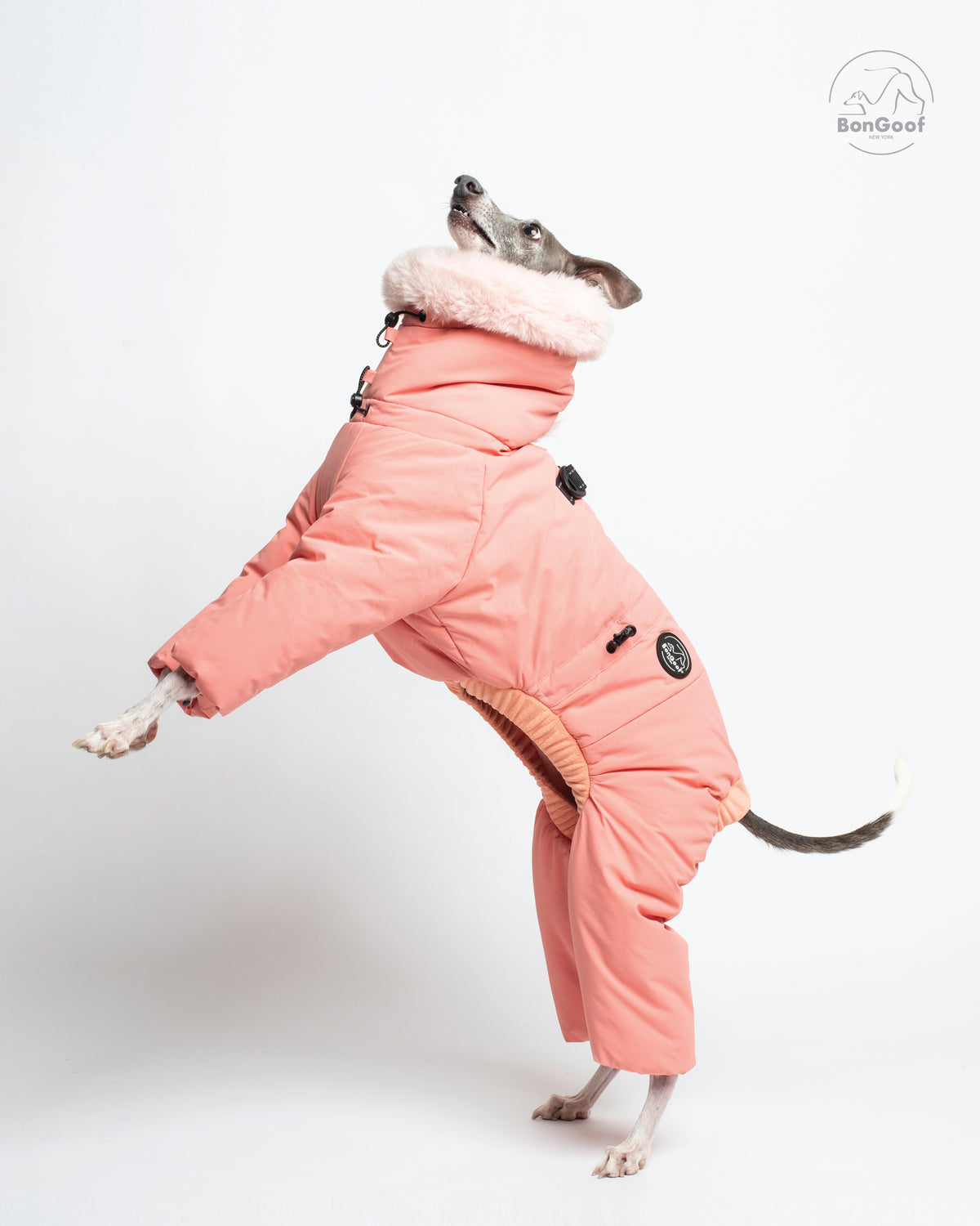 Dog standing on its hind legs in the BonGoof SUIT-PREMO snowsuit in Peach, looking upward with the fur-trimmed hood, covered legs and side logo patch visible.
