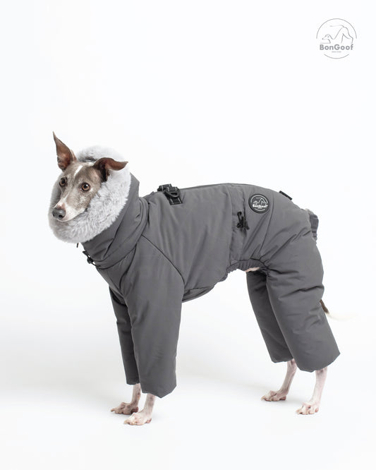 Dog wearing the BonGoof SUIT-PREMO snowsuit in Slate, side view showing the gray body, four covered legs, faux-fur-trimmed hood and logo patch.