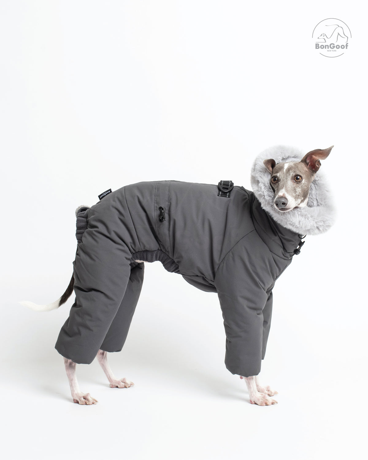 Dog wearing the BonGoof SUIT-PREMO snowsuit in Slate, facing right with the gray body, covered legs, fur-trimmed hood and back D-ring visible.