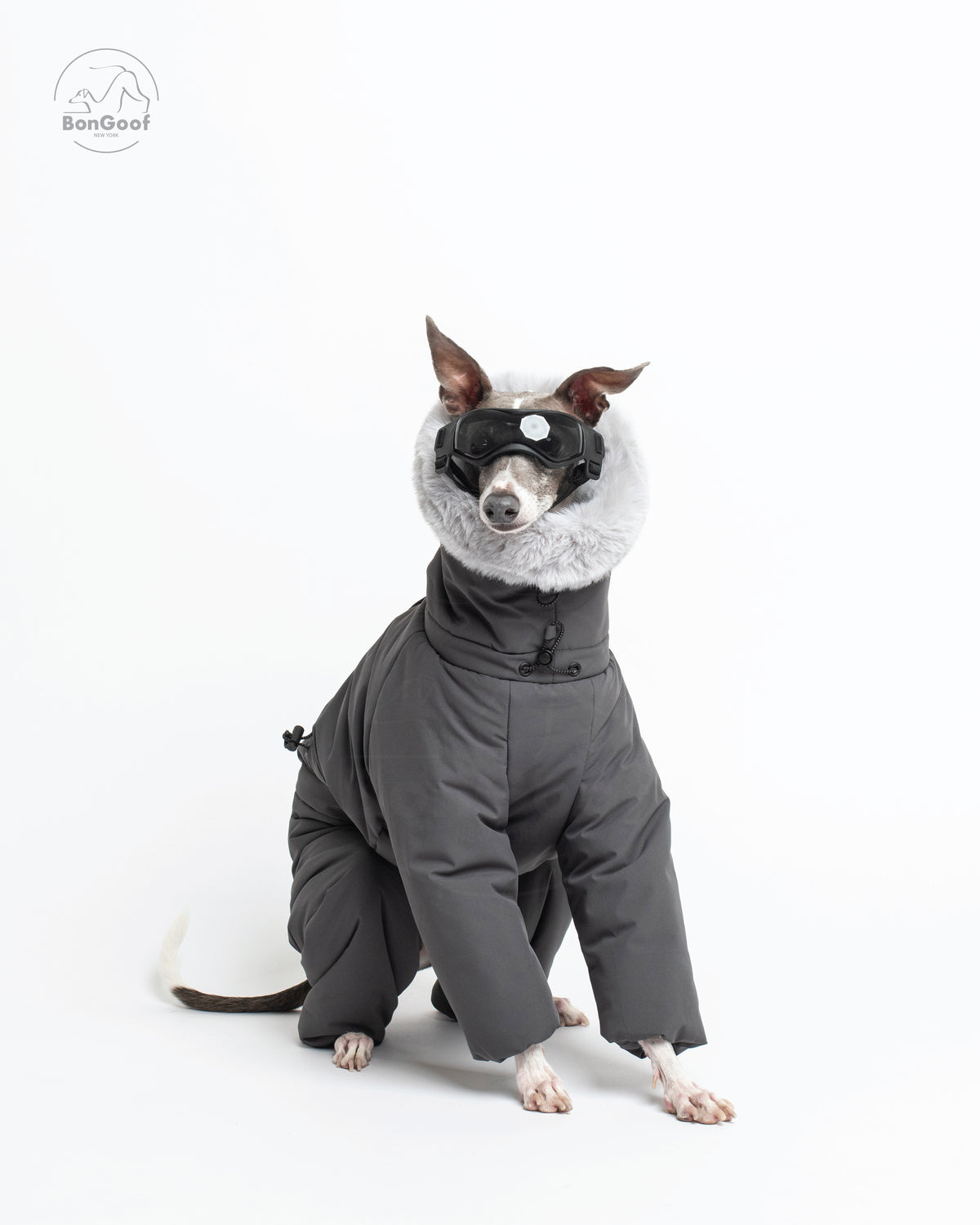 Front view of a seated dog wearing goggles and the BonGoof SUIT-PREMO snowsuit in Slate, showing the fur-trimmed hood, padded chest and covered front legs.