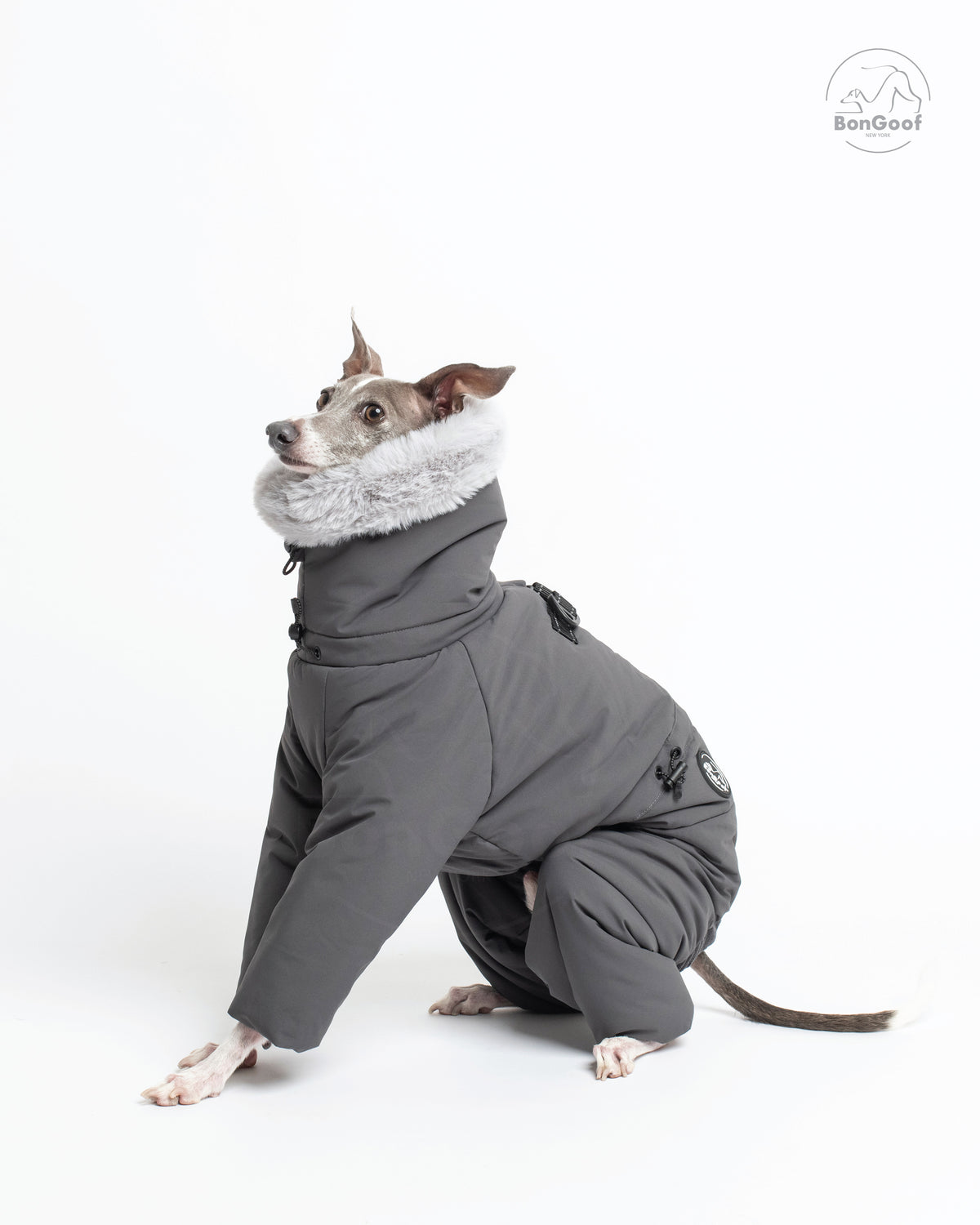 Seated dog wearing the BonGoof SUIT-PREMO snowsuit in Slate, looking up to the left with the fur-trimmed hood, covered legs and side logo patch visible.