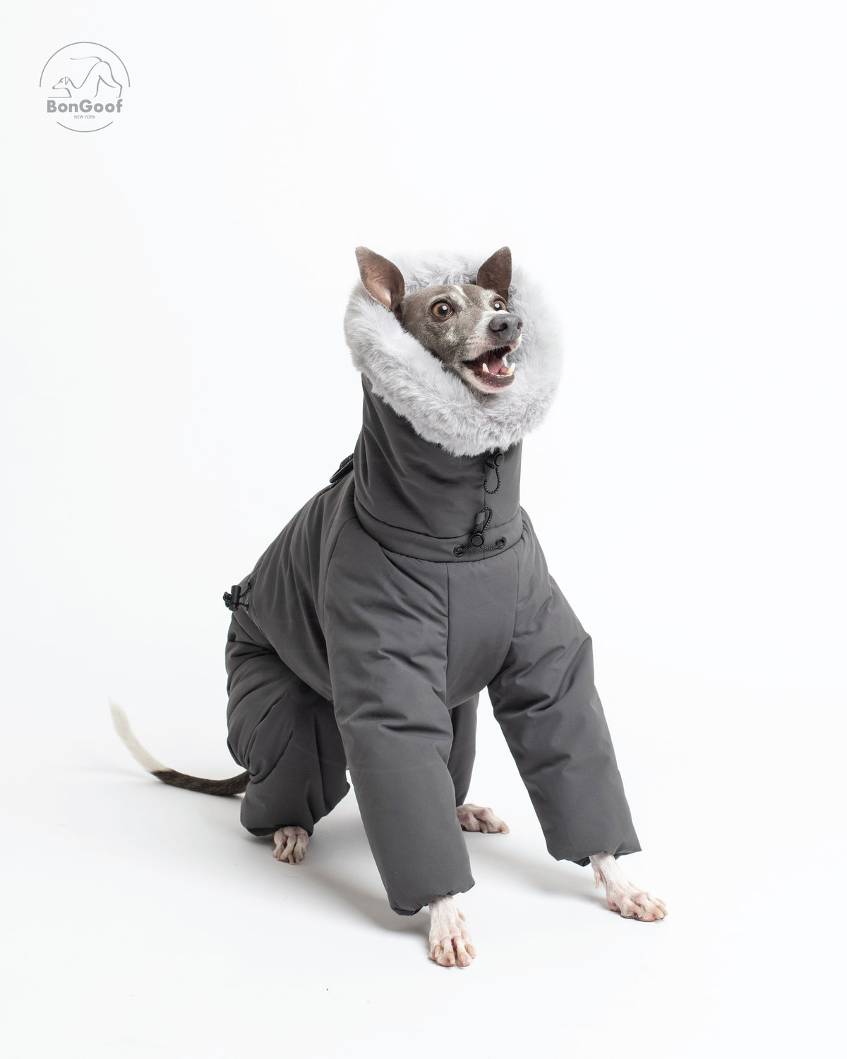 Seated dog wearing the BonGoof SUIT-PREMO snowsuit in Slate, looking upward with its mouth open, showing the fur-trimmed hood, padded chest and covered front legs.