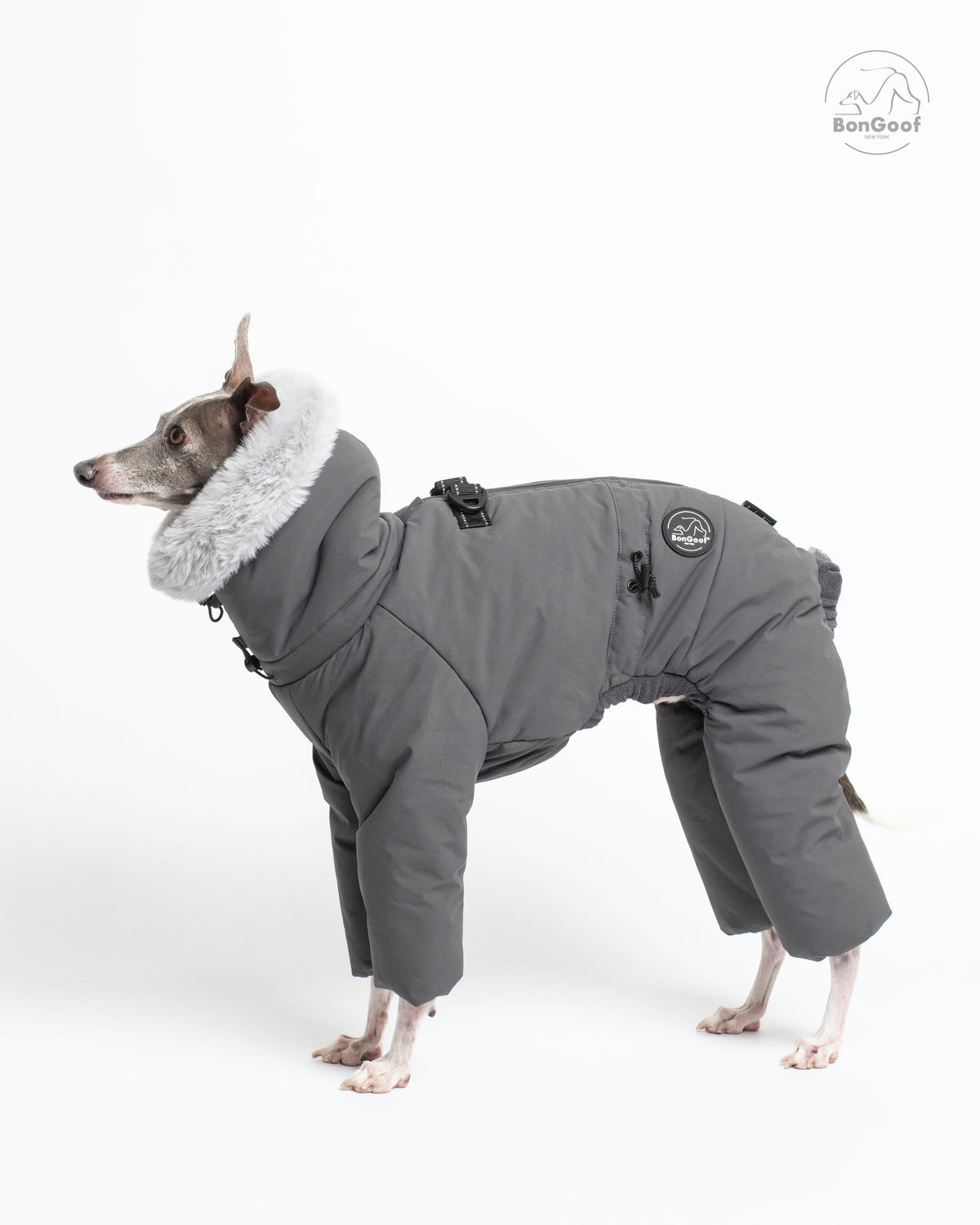 Side profile of a standing dog wearing the BonGoof SUIT-PREMO snowsuit in Slate, showing the fur-trimmed hood, covered legs, back D-ring and side logo patch.