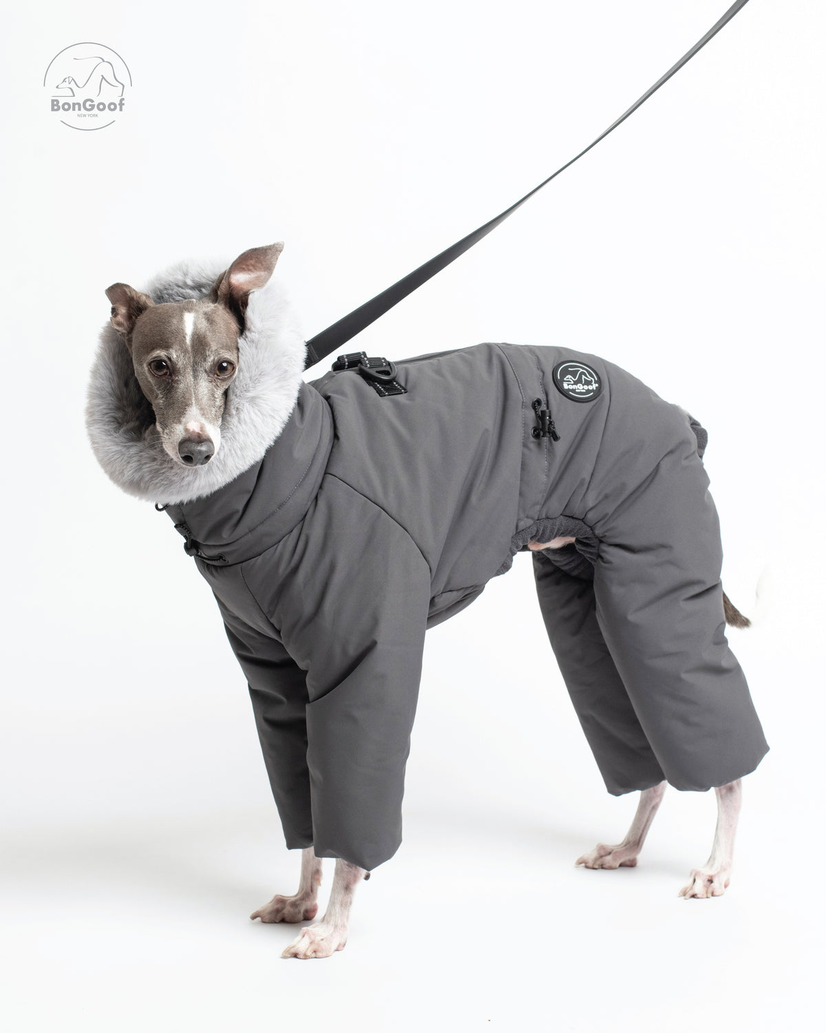 Dog wearing the BonGoof SUIT-PREMO snowsuit in Slate, standing with a leash attached to the back D-ring and the fur-trimmed hood framing its face.