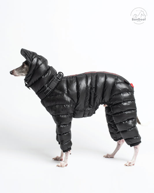Dog wearing the BonGoof The Michelin puffer suit in Black with the hood up, facing left and showing the quilted body and padded legs.