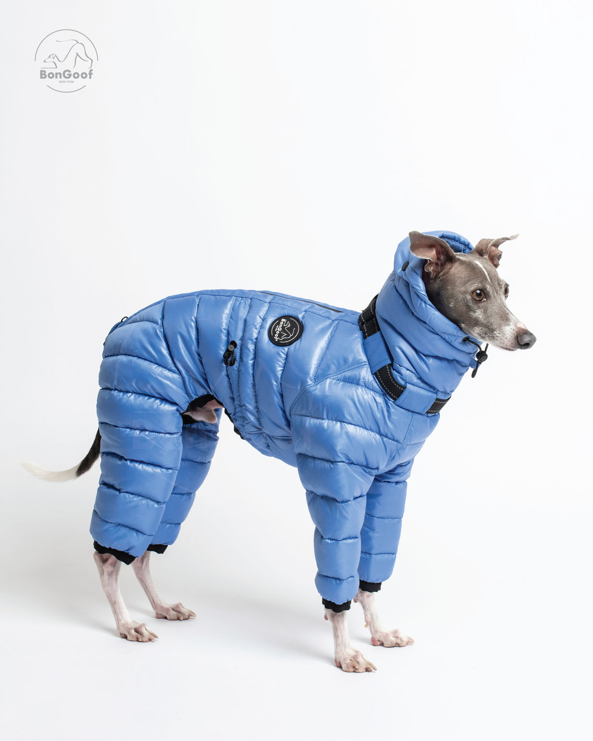 Dog wearing the BonGoof The Michelin puffer suit in Bluebell, side view showing the glossy blue quilted body, four padded legs and high collar.