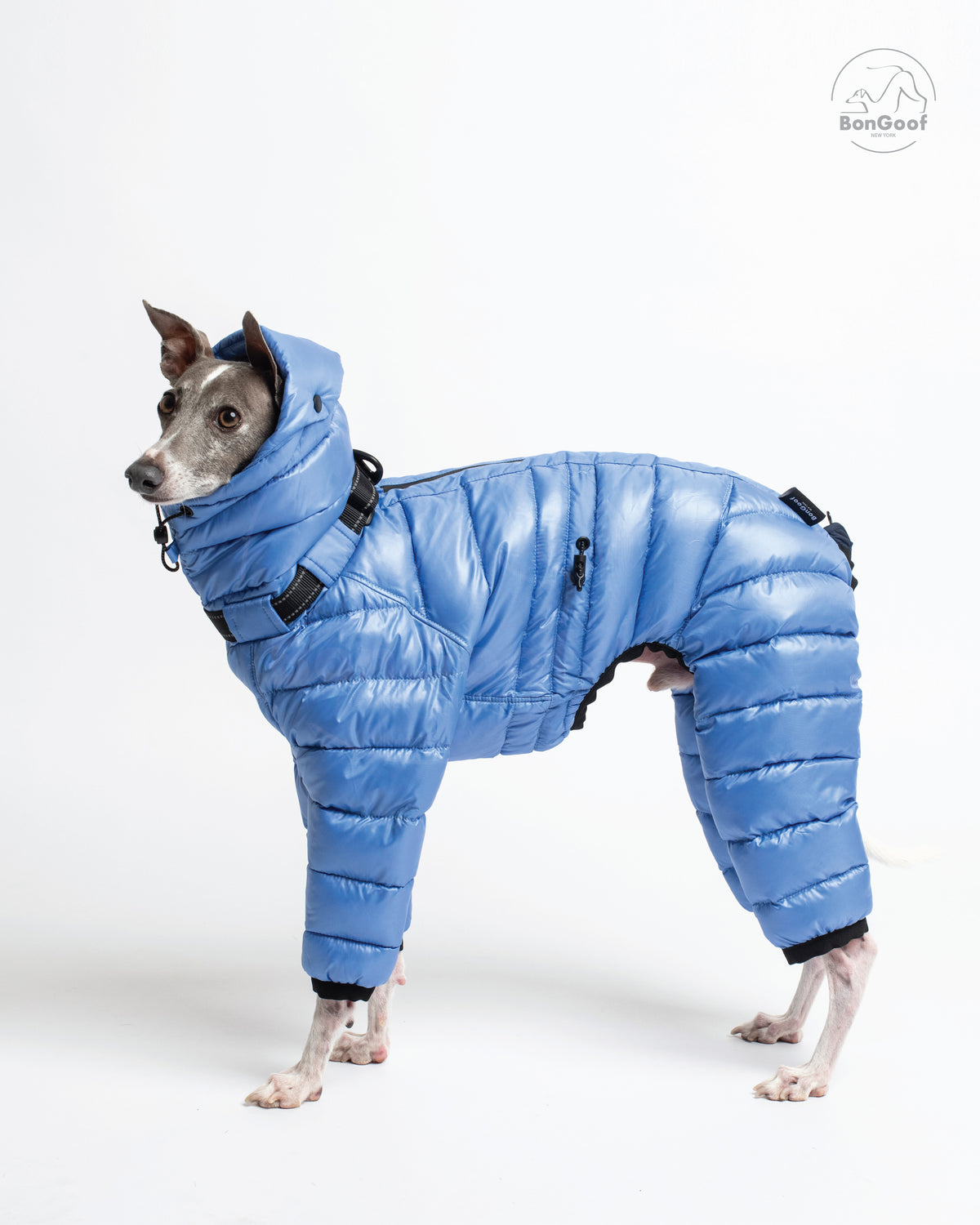 Dog wearing the BonGoof The Michelin puffer suit in Bluebell, facing left with the padded hood framing its head and quilted legs visible.