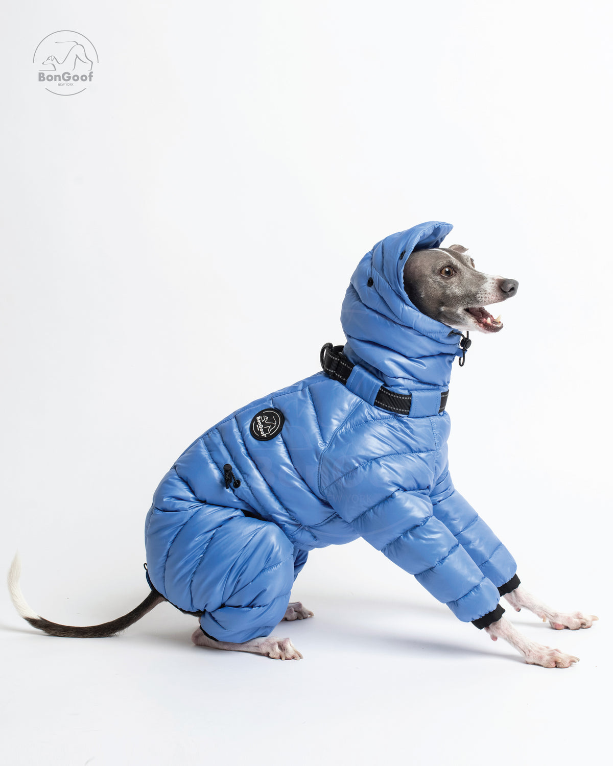 Seated dog wearing the BonGoof The Michelin puffer suit in Bluebell with the hood up, facing right with the padded front legs and side logo patch visible.