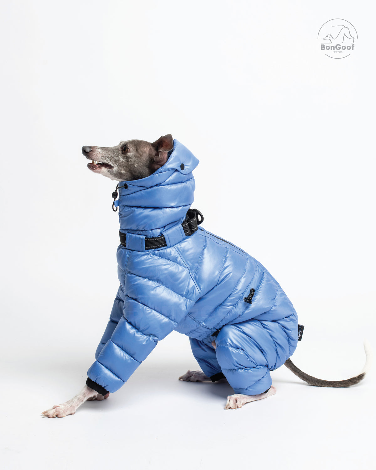 Seated dog wearing the BonGoof The Michelin puffer suit in Bluebell, facing left with the high collar, padded legs and side drawcord visible.
