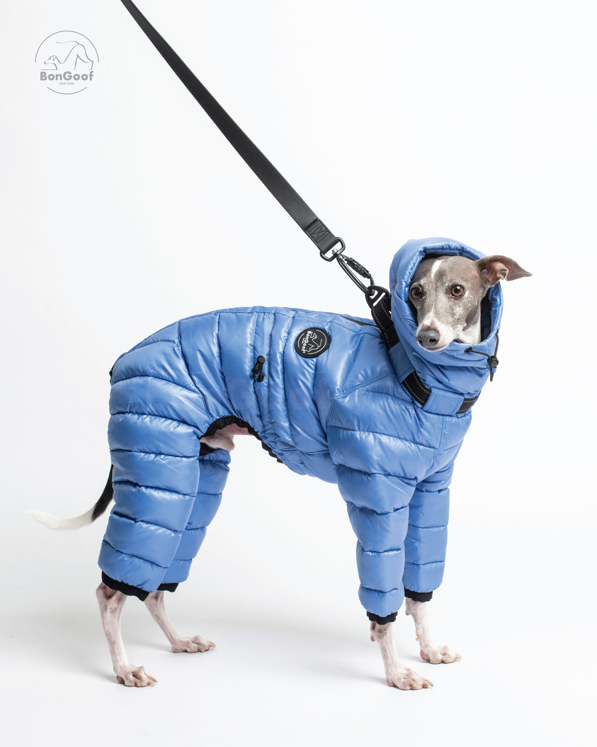 Dog wearing the BonGoof The Michelin puffer suit in Bluebell with the hood up, standing with a leash attached near the upper back.